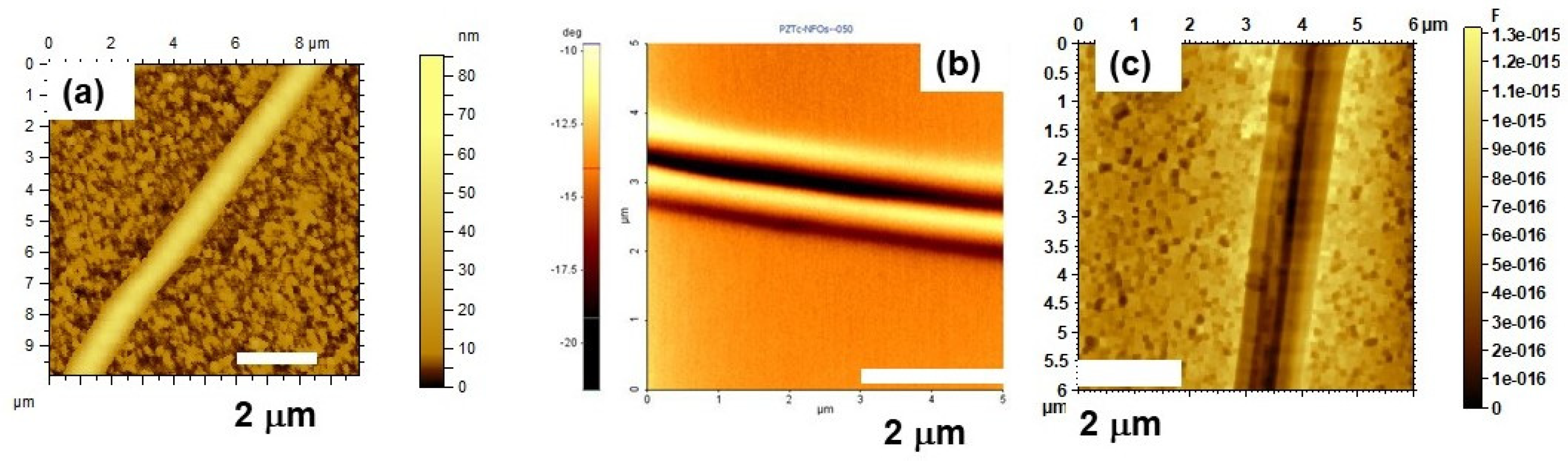 Preprints 110598 g002