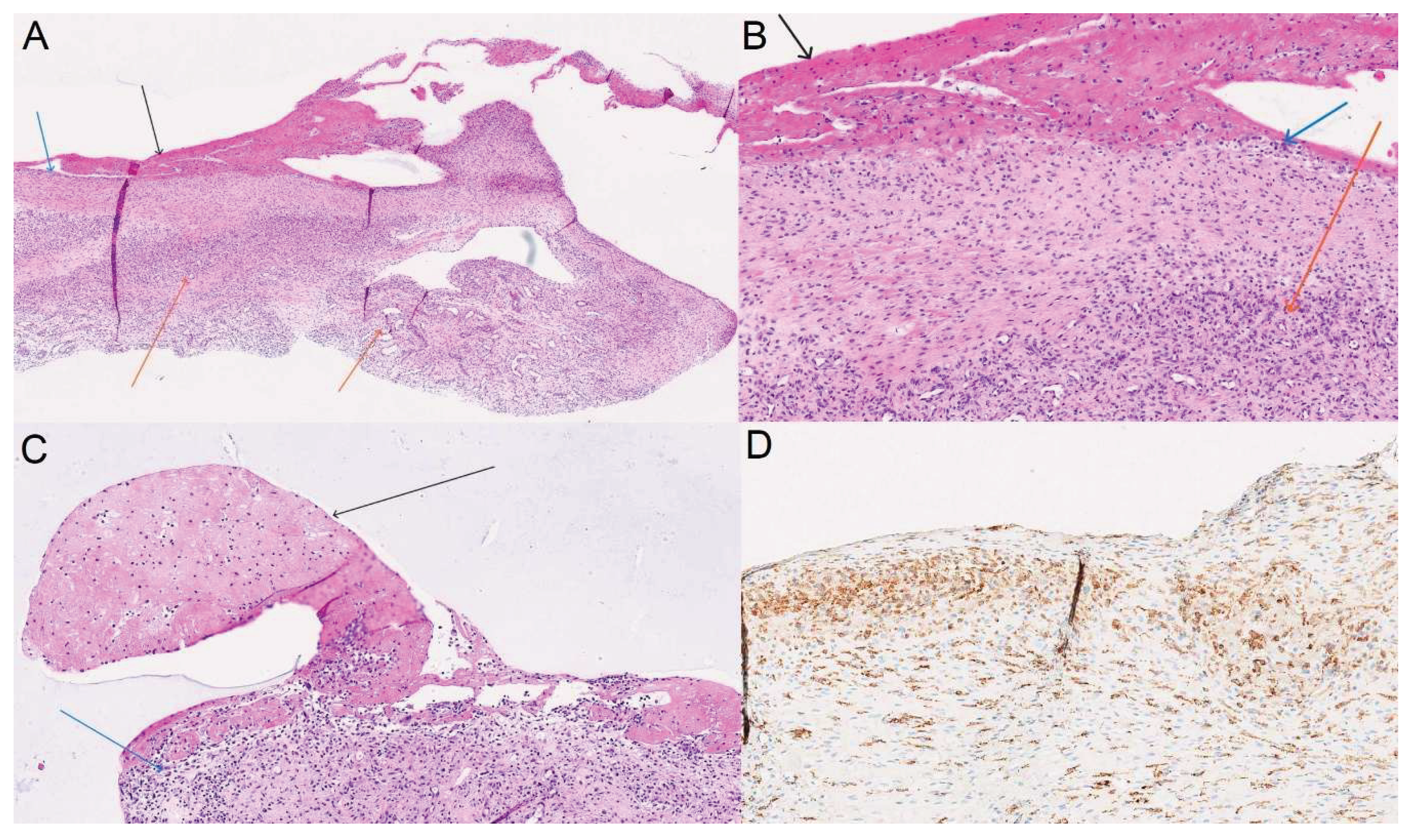 Preprints 210140 g001