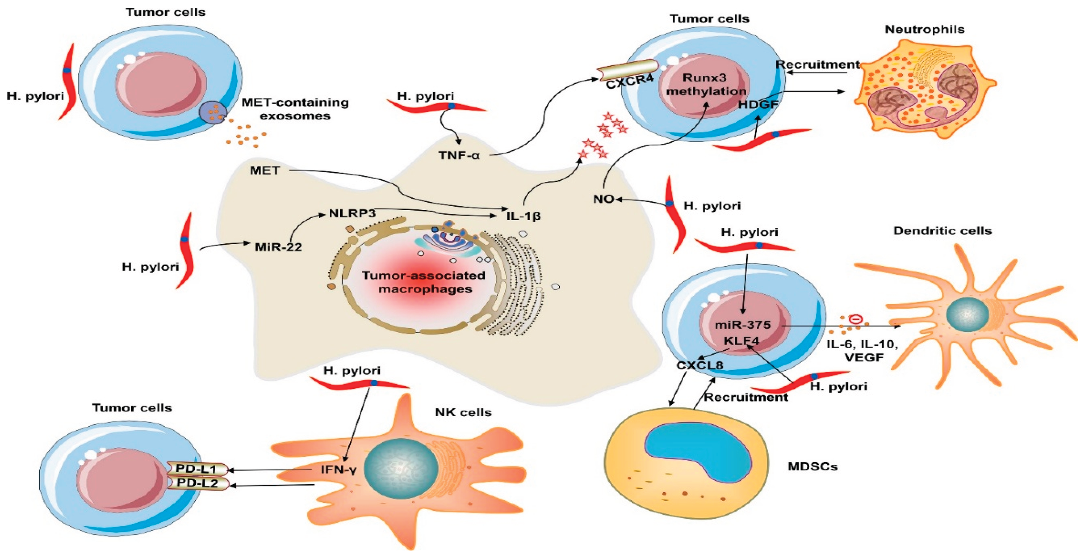 Preprints 194192 g001
