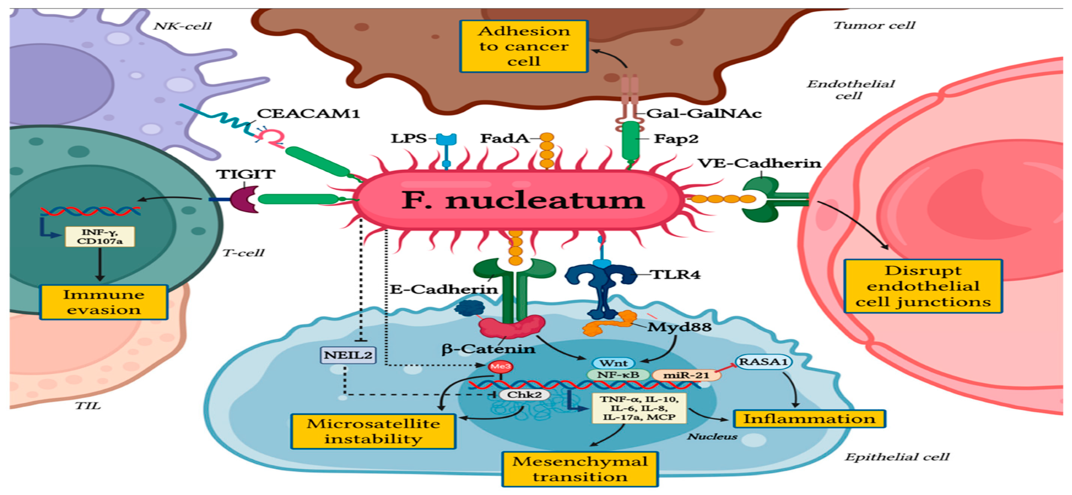 Preprints 194192 g002
