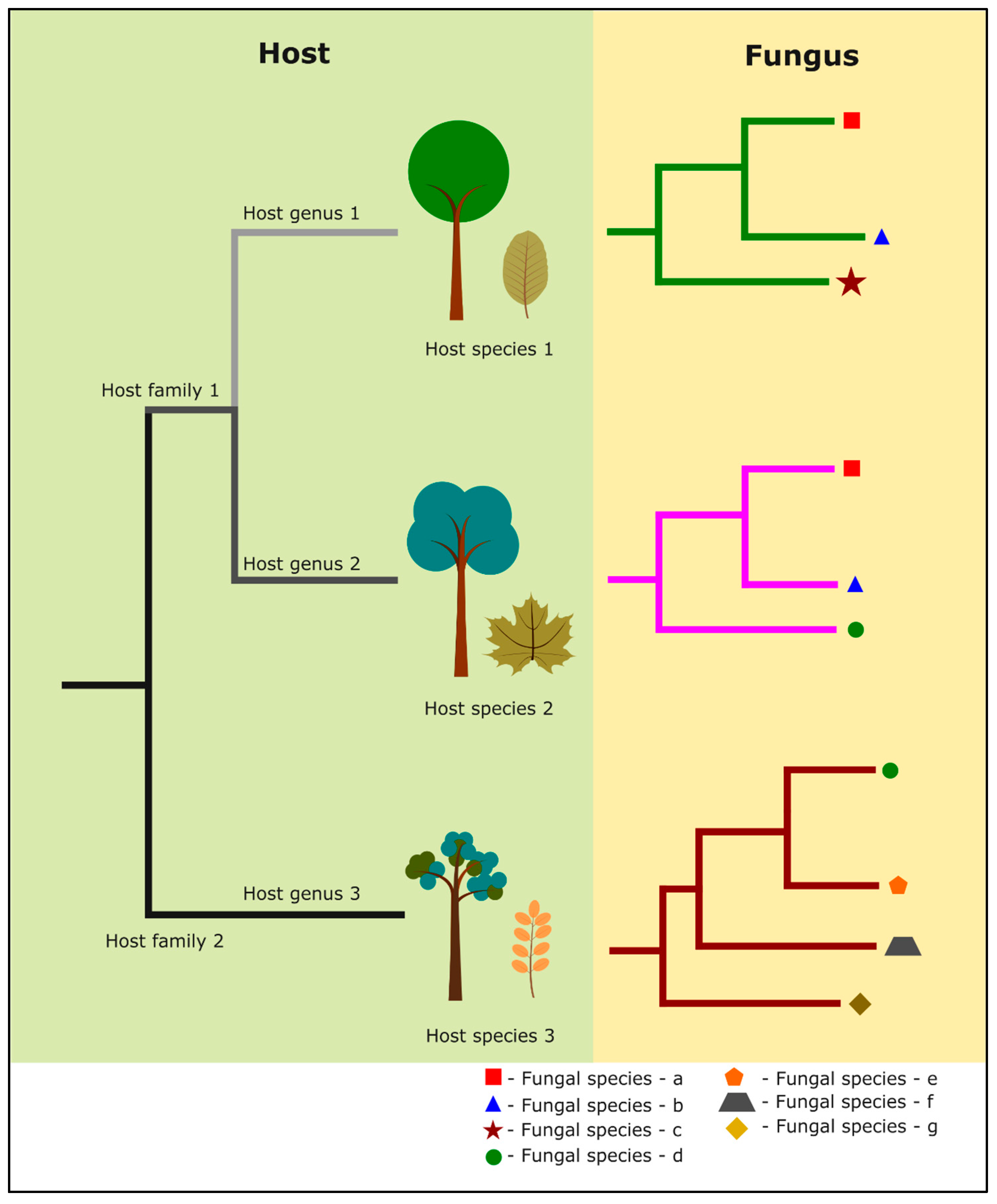 Preprints 140296 g001