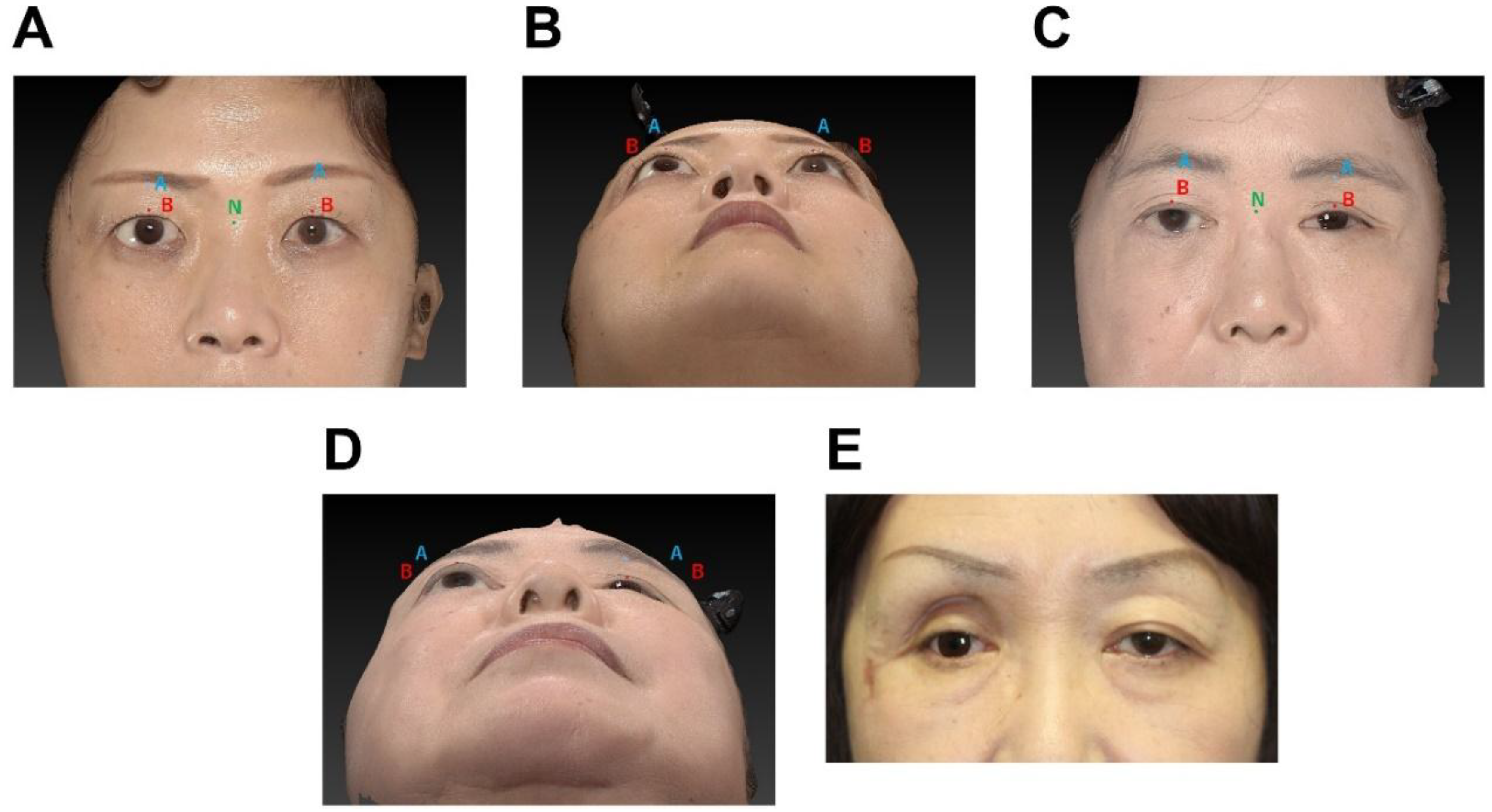 Preprints 148065 g002