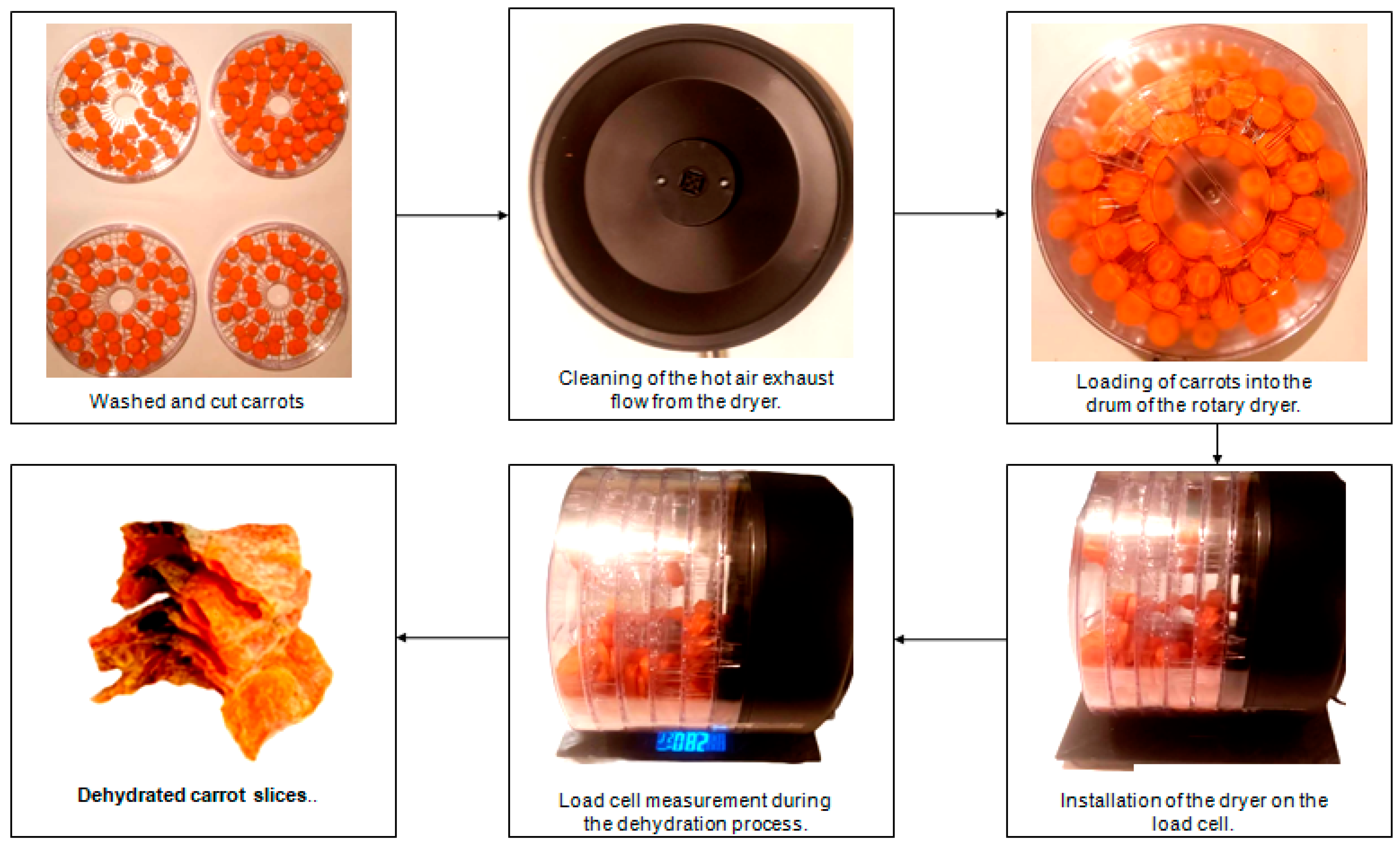 Preprints 144667 g001