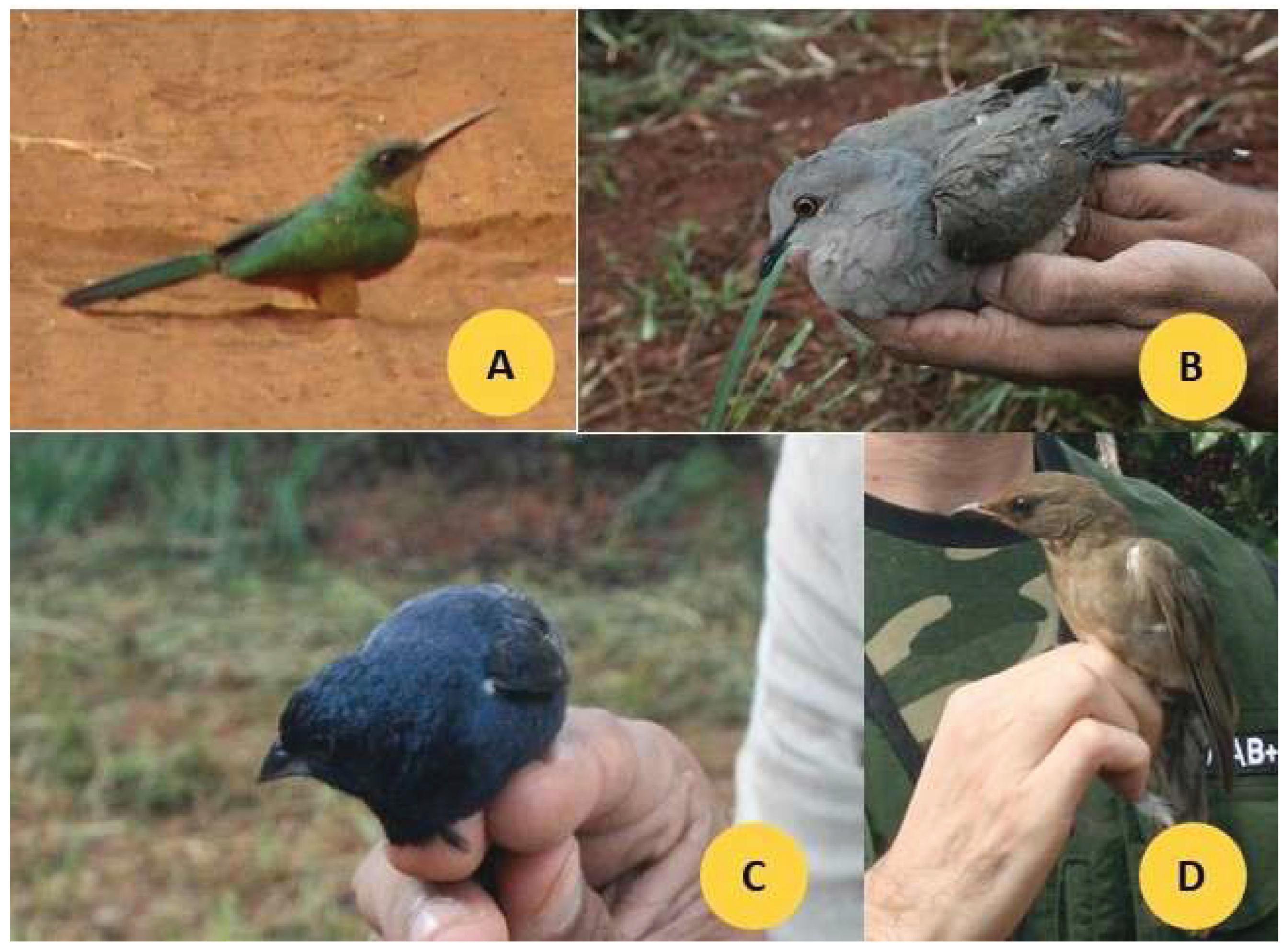 Preprints 174688 g002