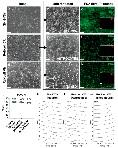 Preprints 164982 g001