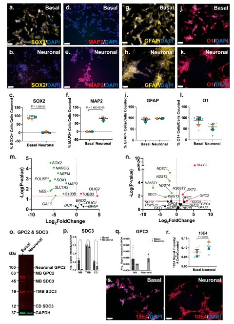 Preprints 164982 g002