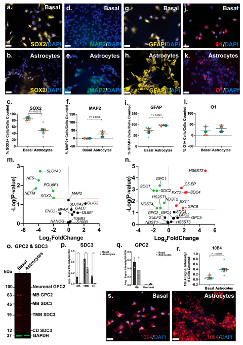 Preprints 164982 g003
