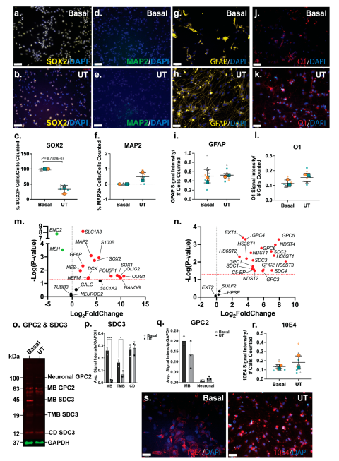 Preprints 164982 g004