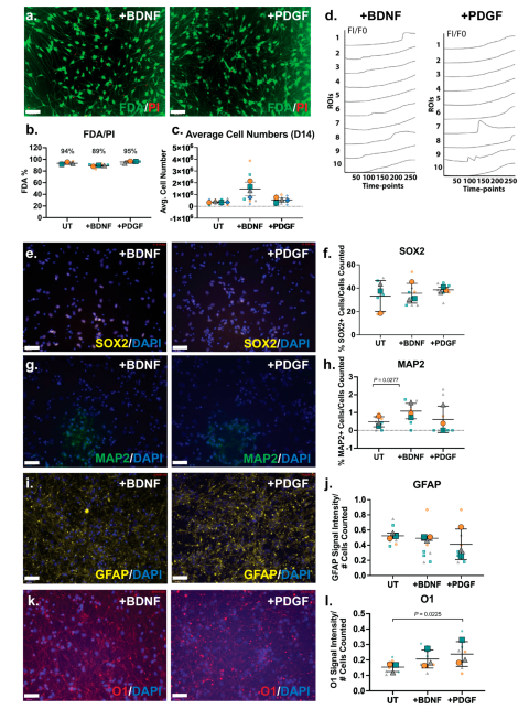 Preprints 164982 g005
