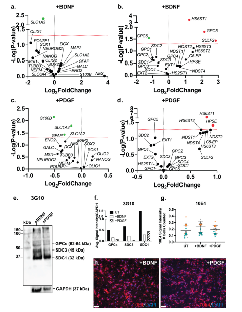 Preprints 164982 g006