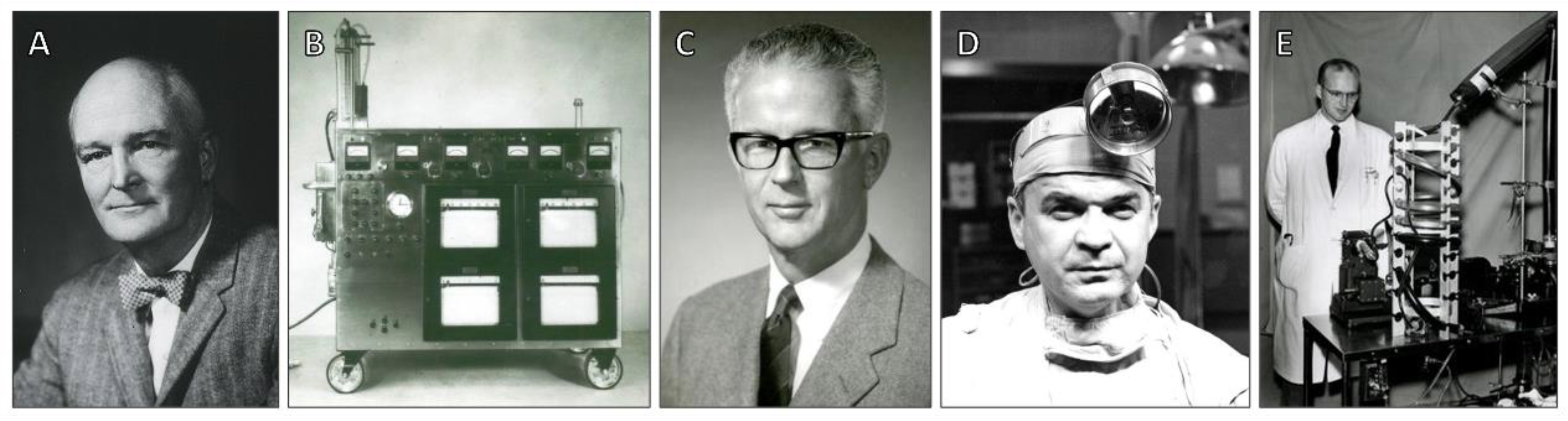 Preprints 166402 g005