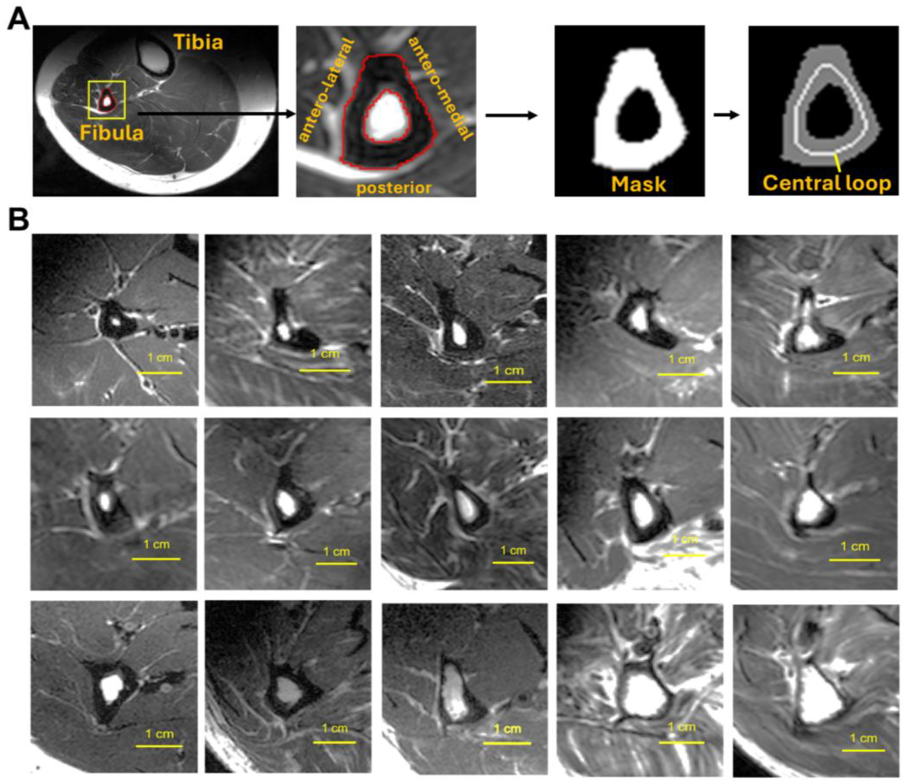 Preprints 148449 g001