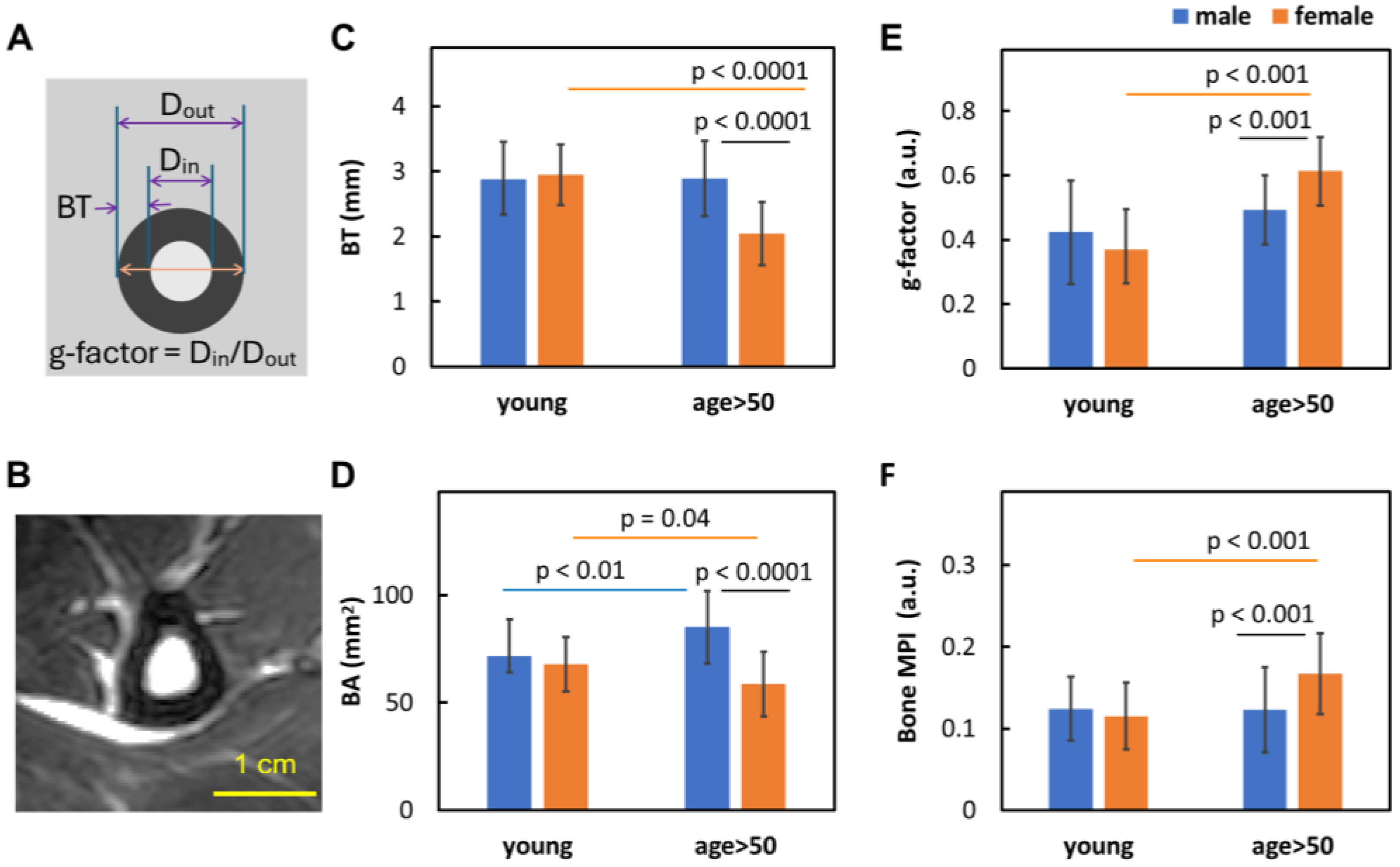 Preprints 148449 g002