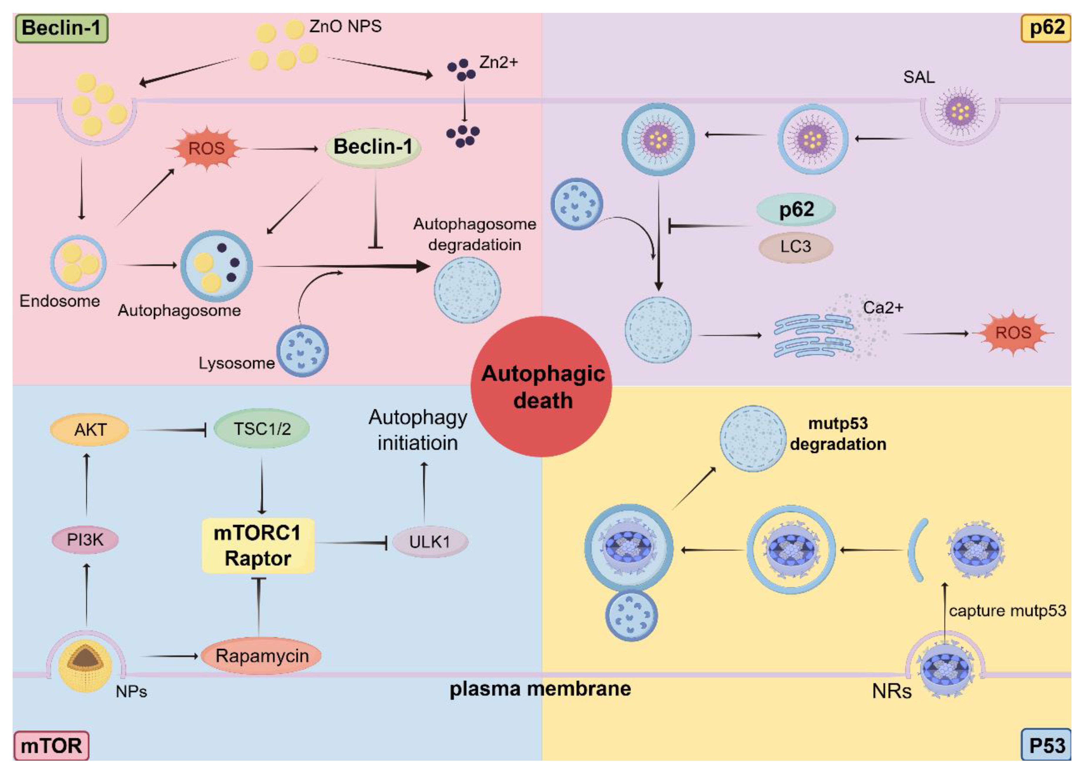 Preprints 193131 g002