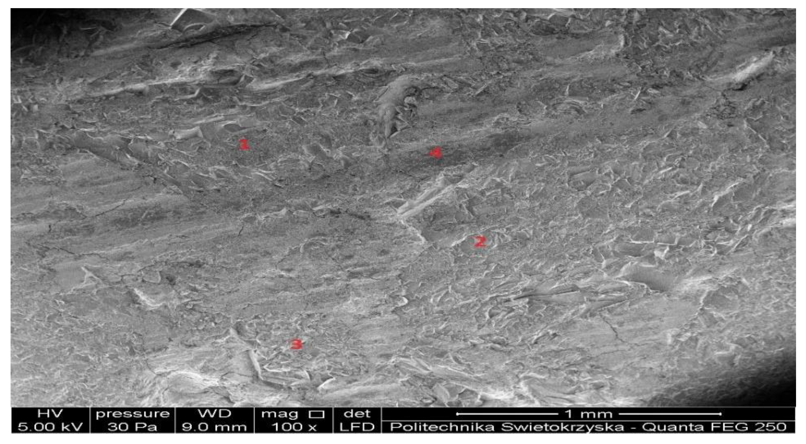 Preprints 142833 g017