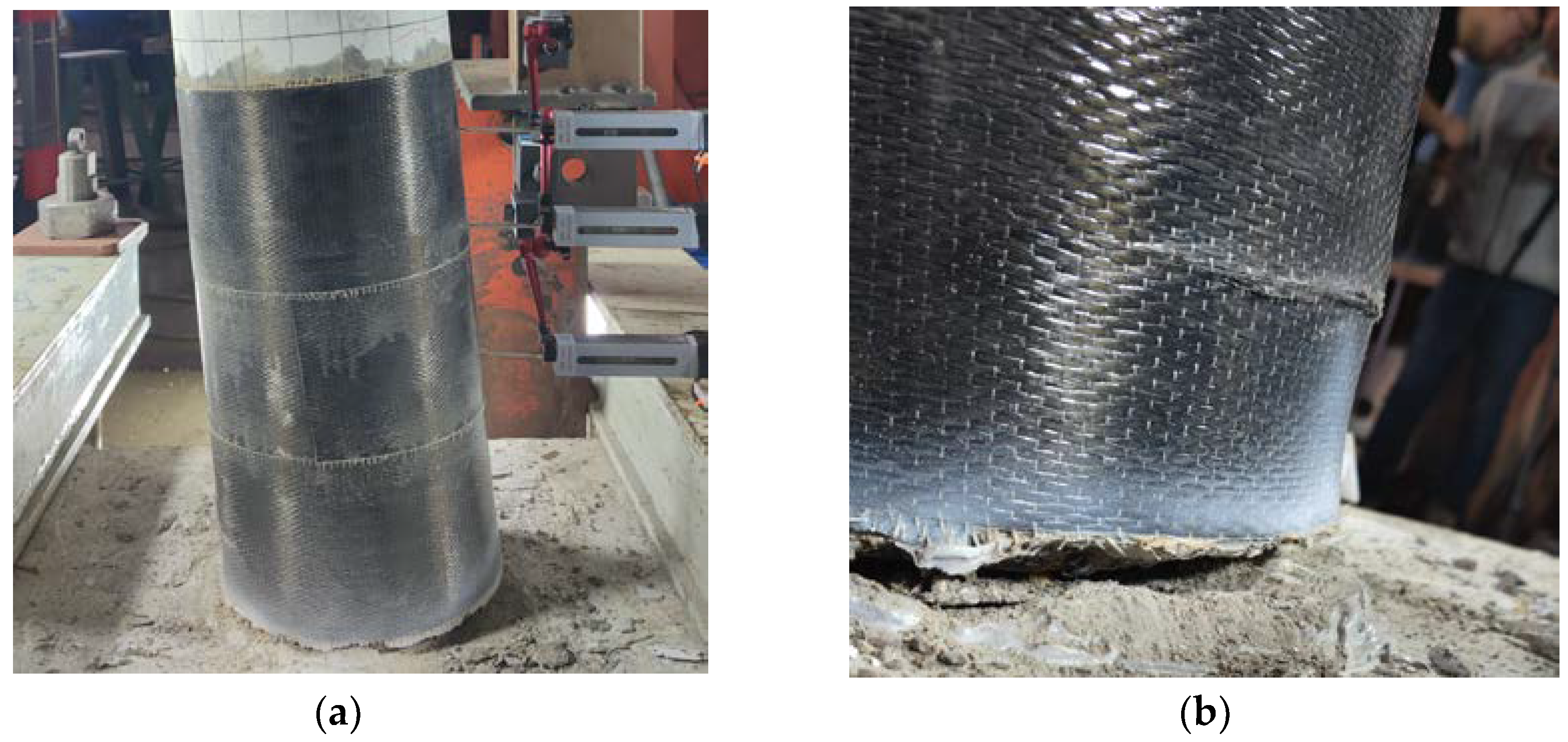 Preprints 72758 g006