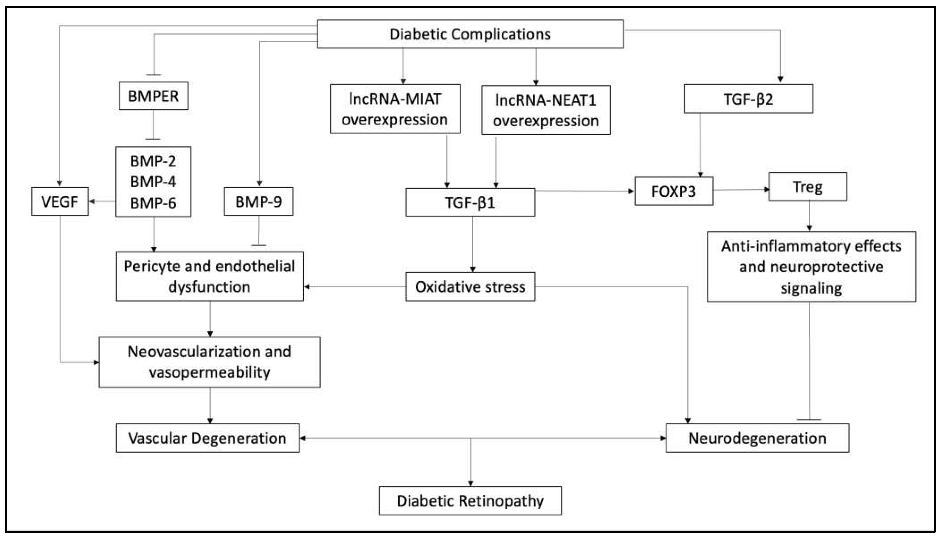Preprints 97240 g001