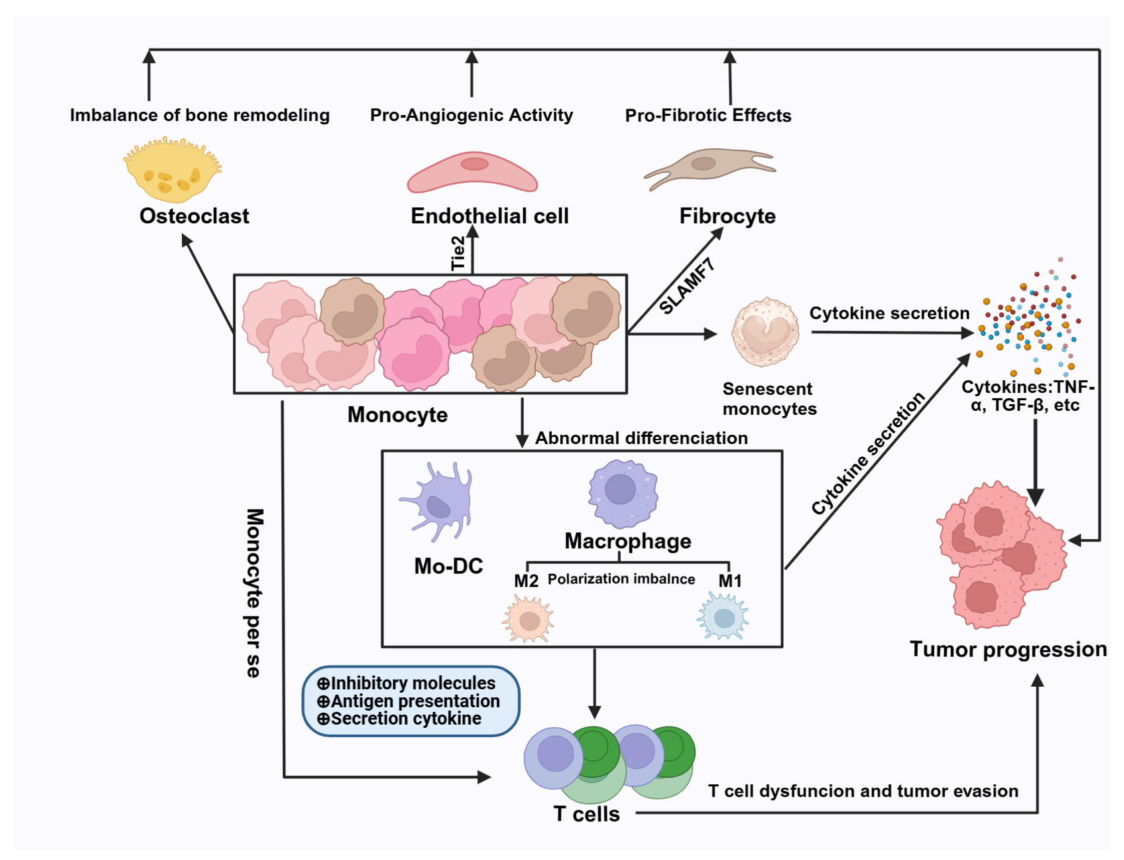 Preprints 161689 g001