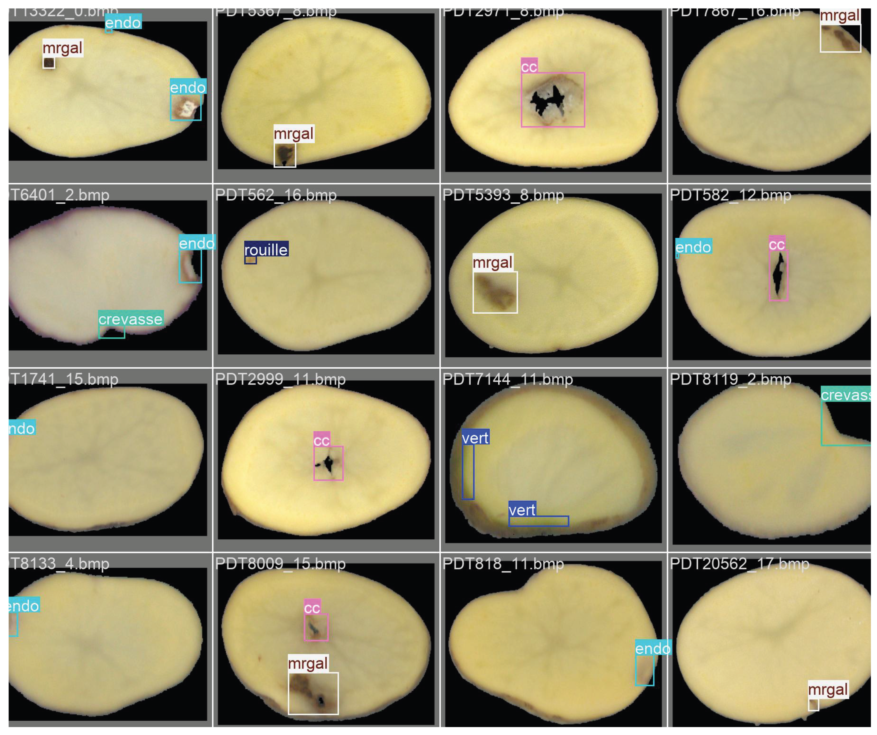 Preprints 183823 g002