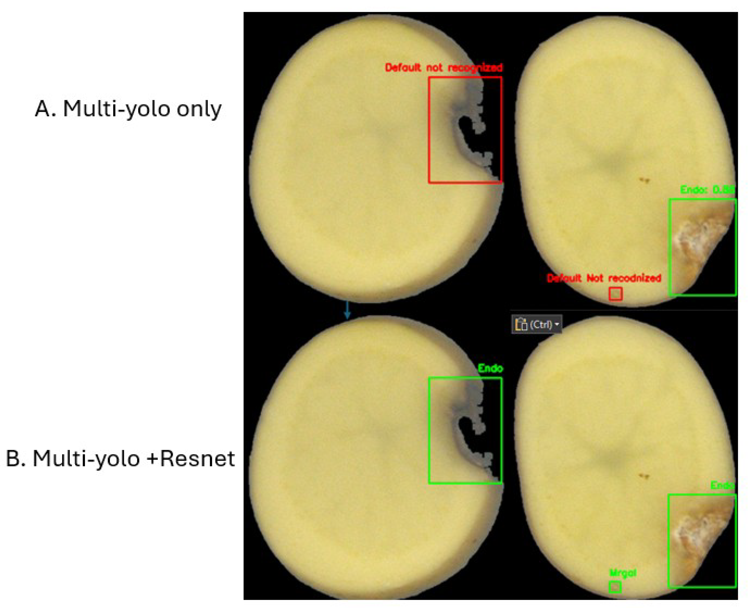 Preprints 183823 g004