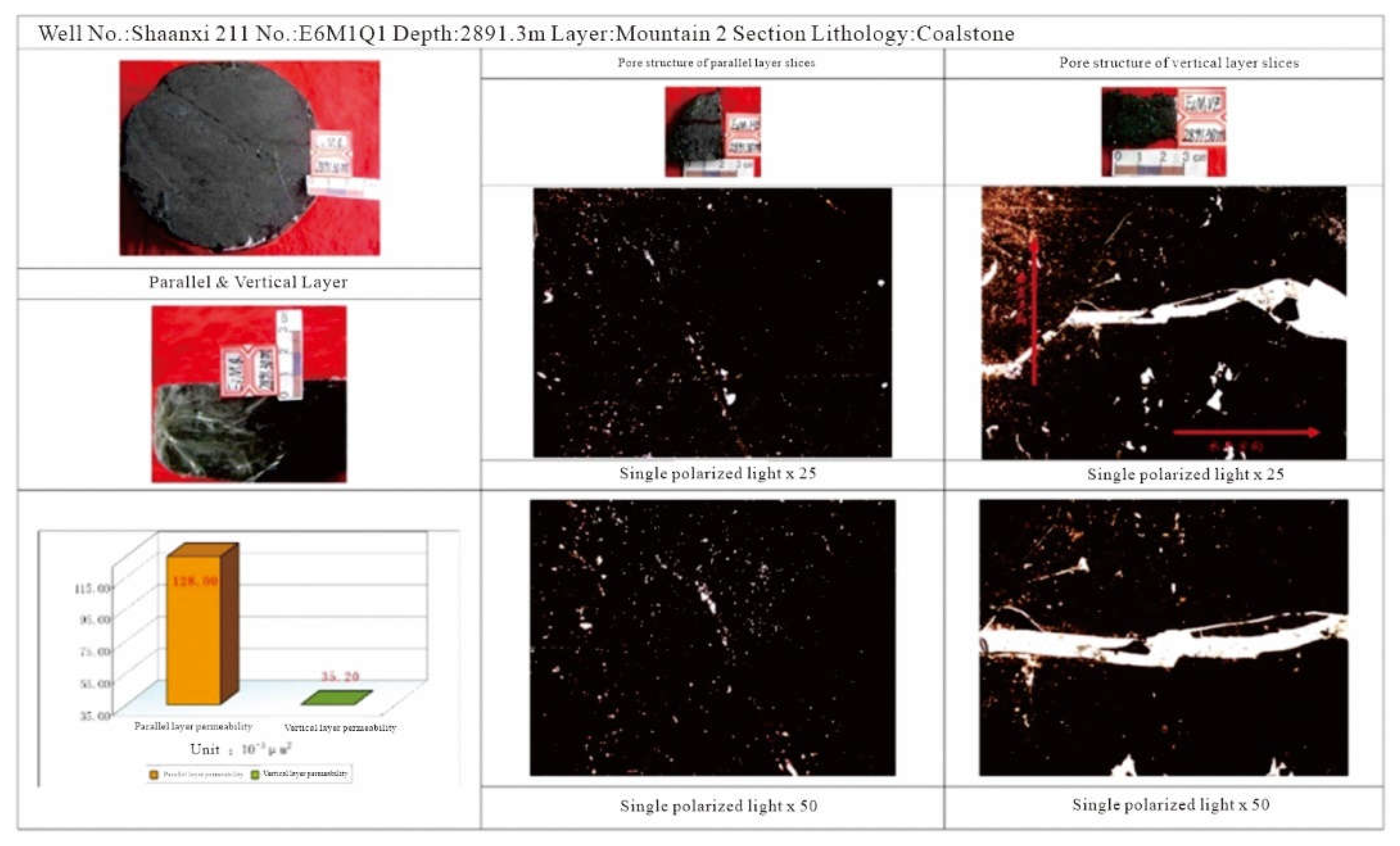 Preprints 142563 g018