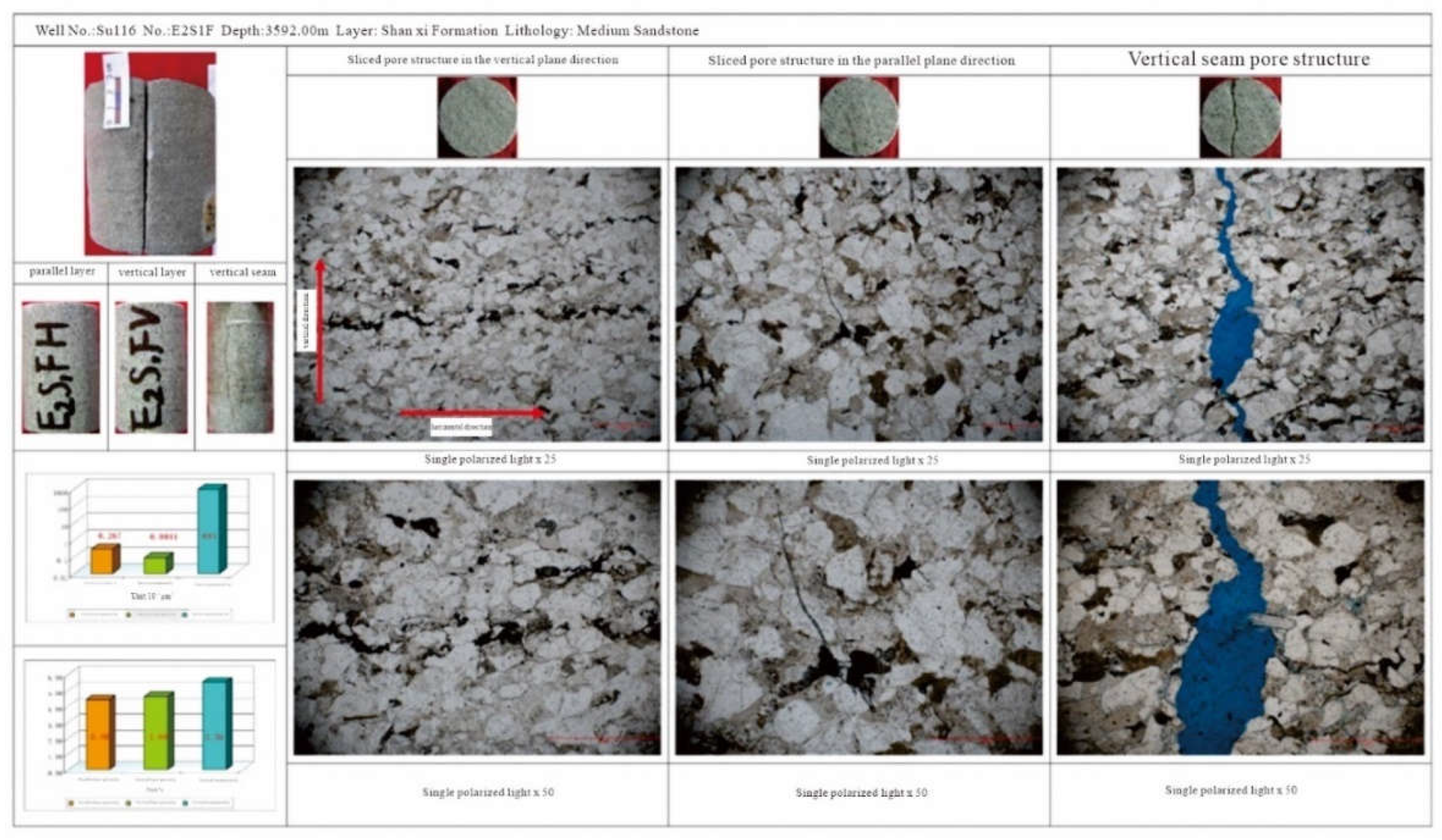 Preprints 142563 g021