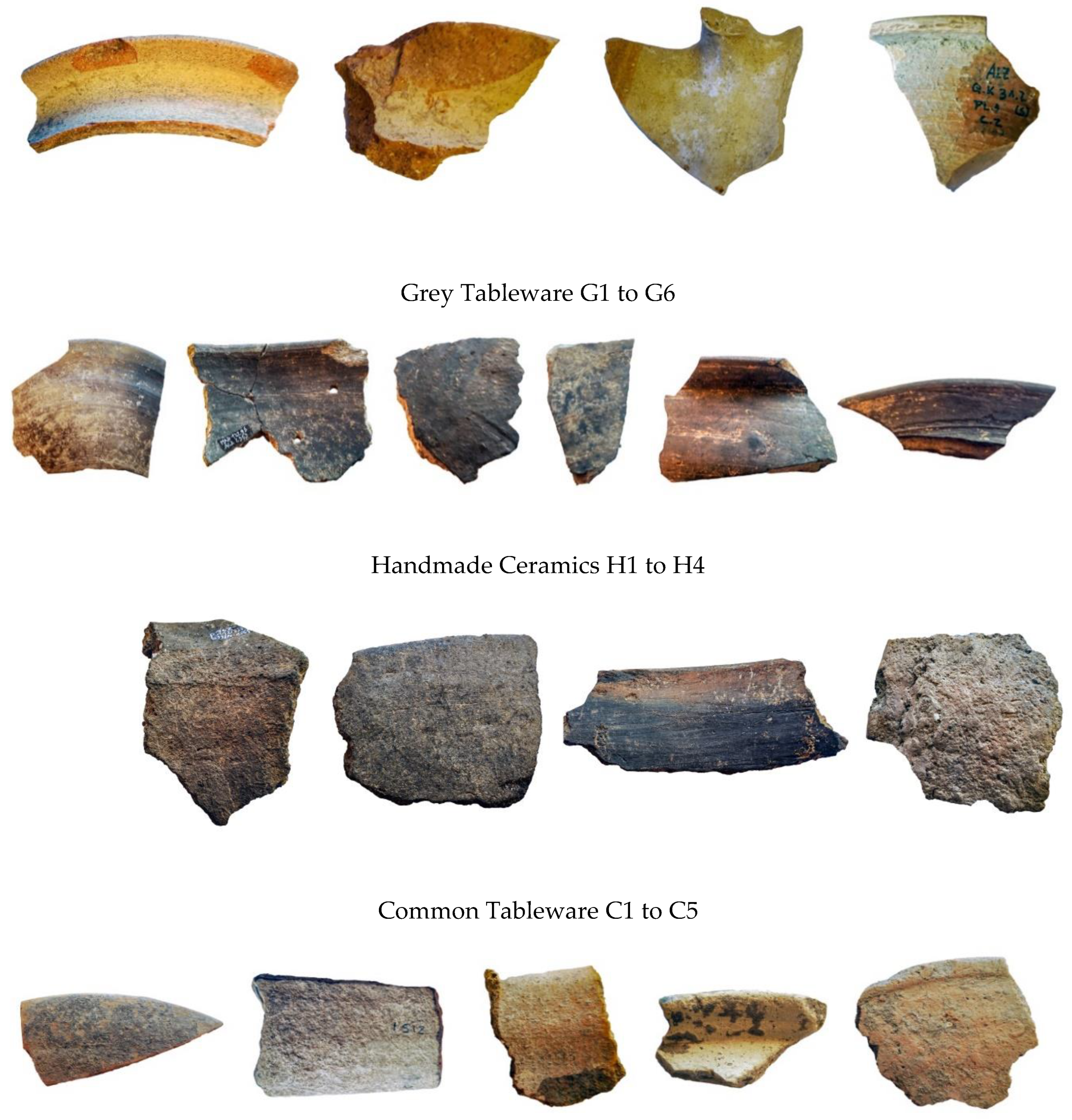 Preprints 96526 g001b