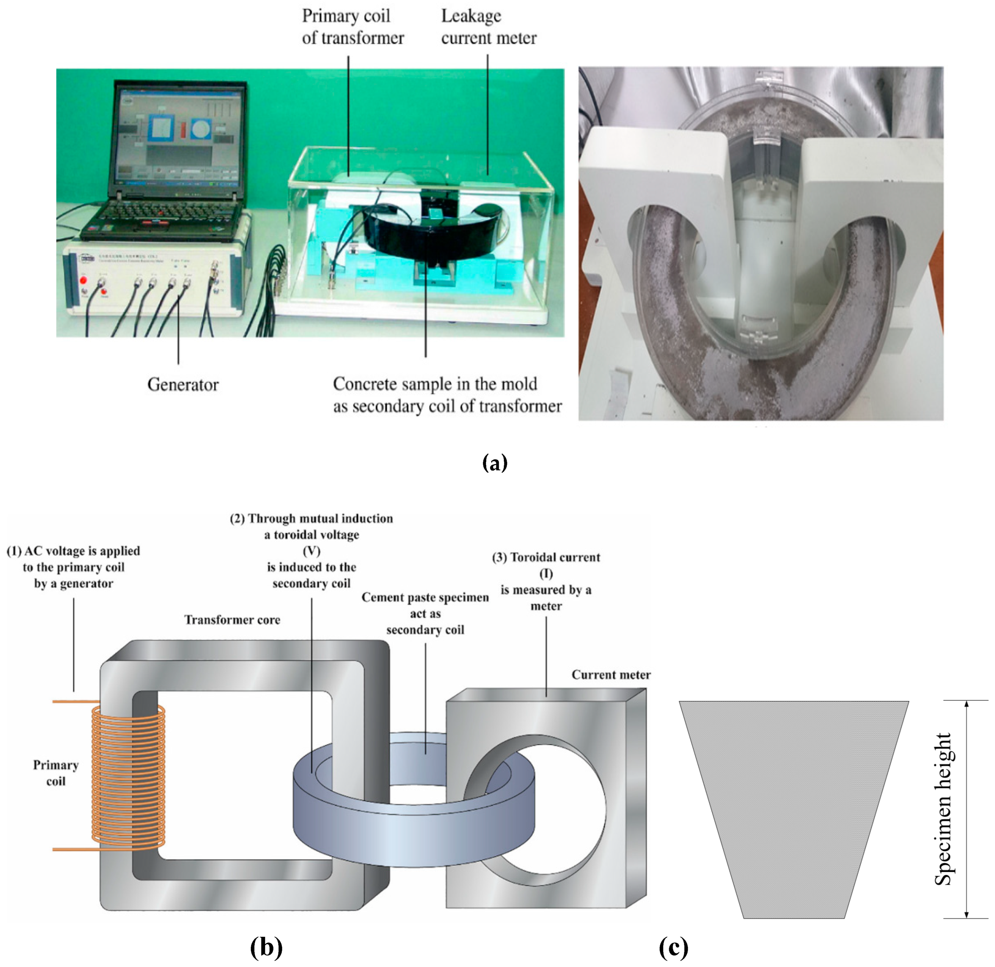 Preprints 147740 g006