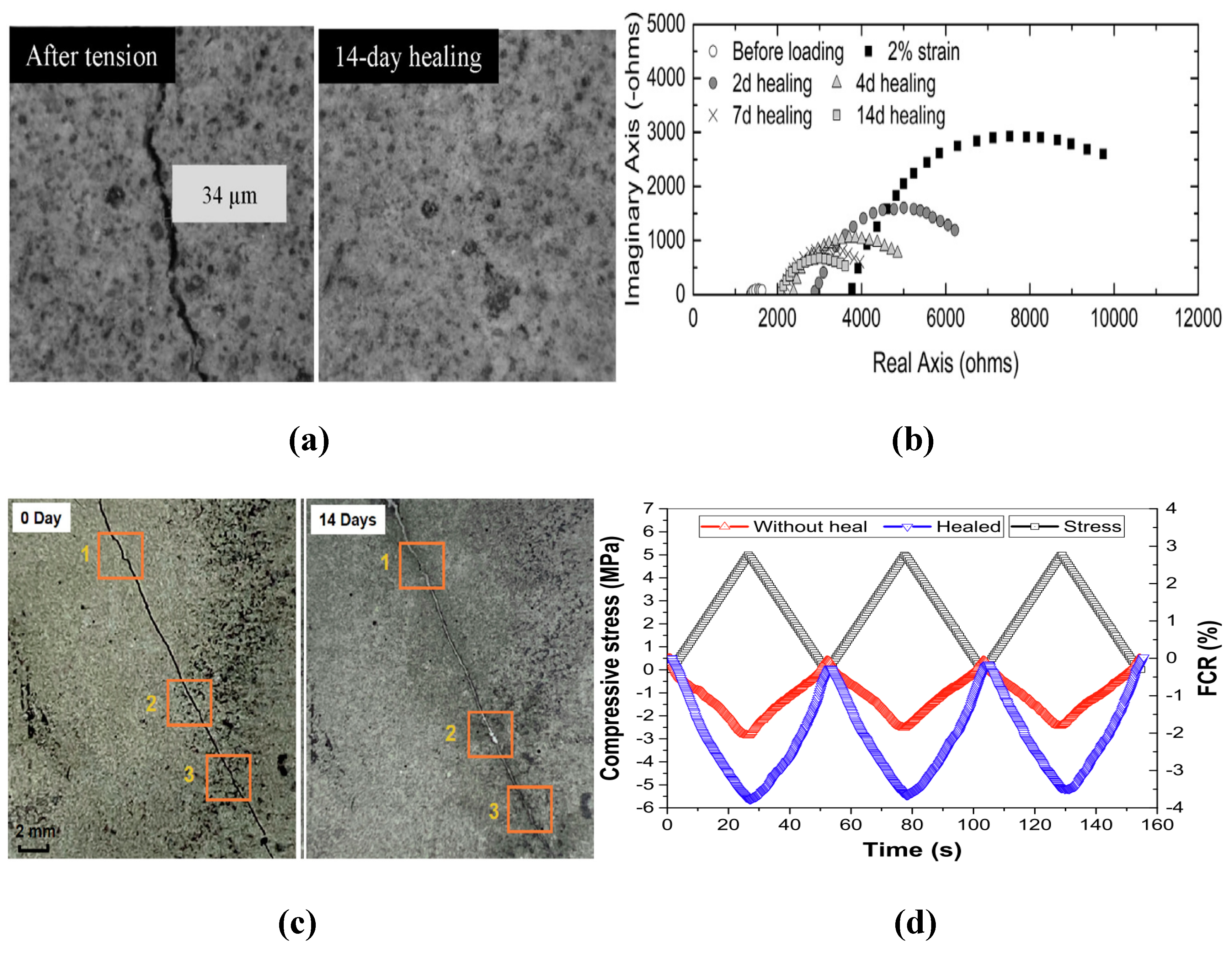 Preprints 147740 g015