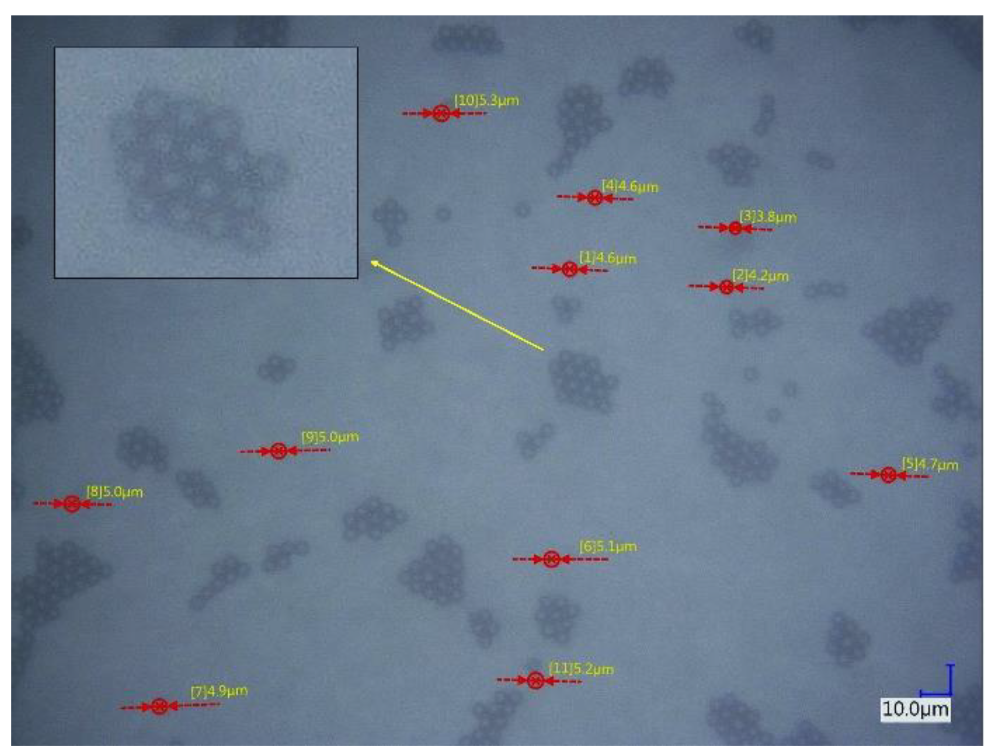 Preprints 162721 g005