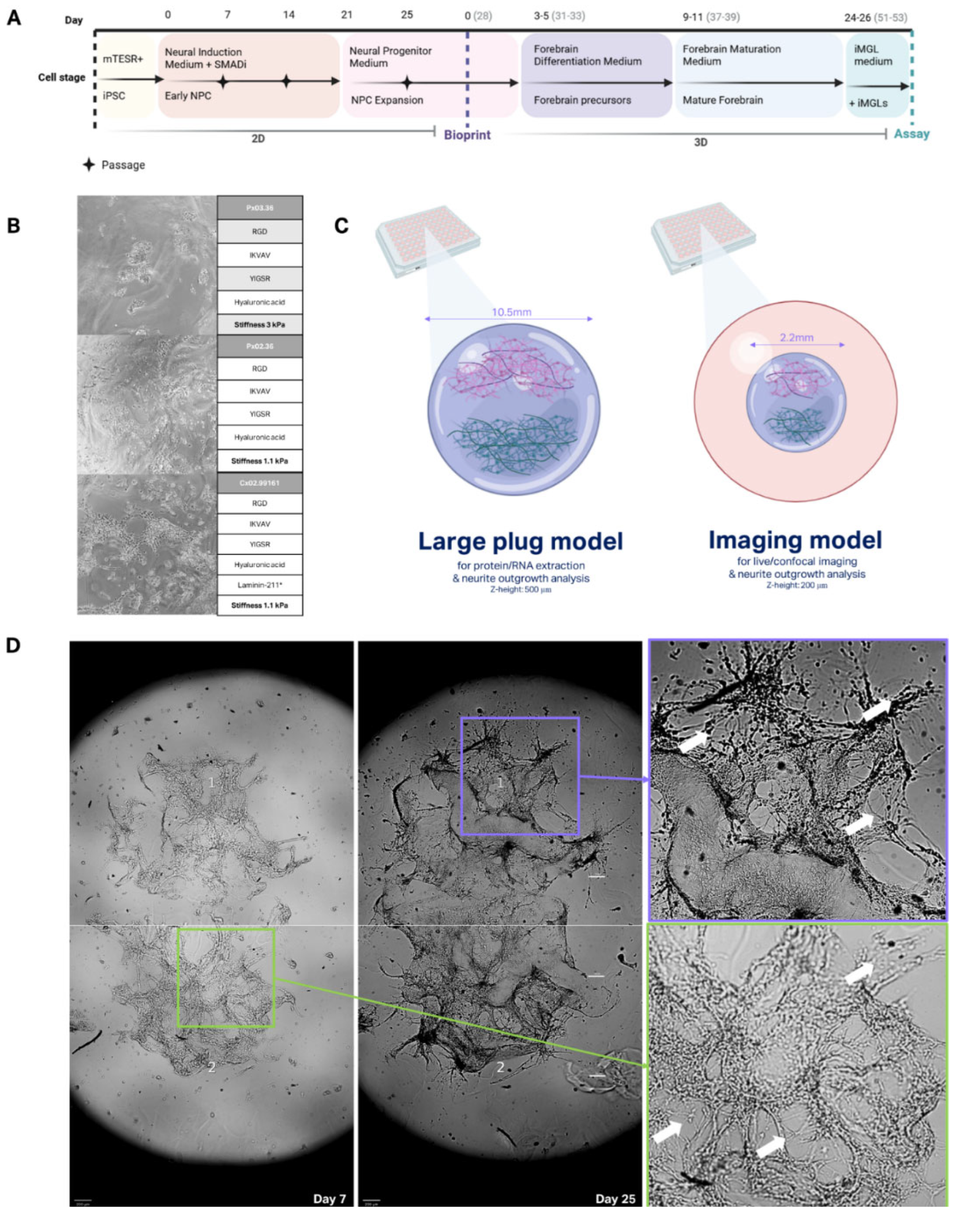 Preprints 148157 g001