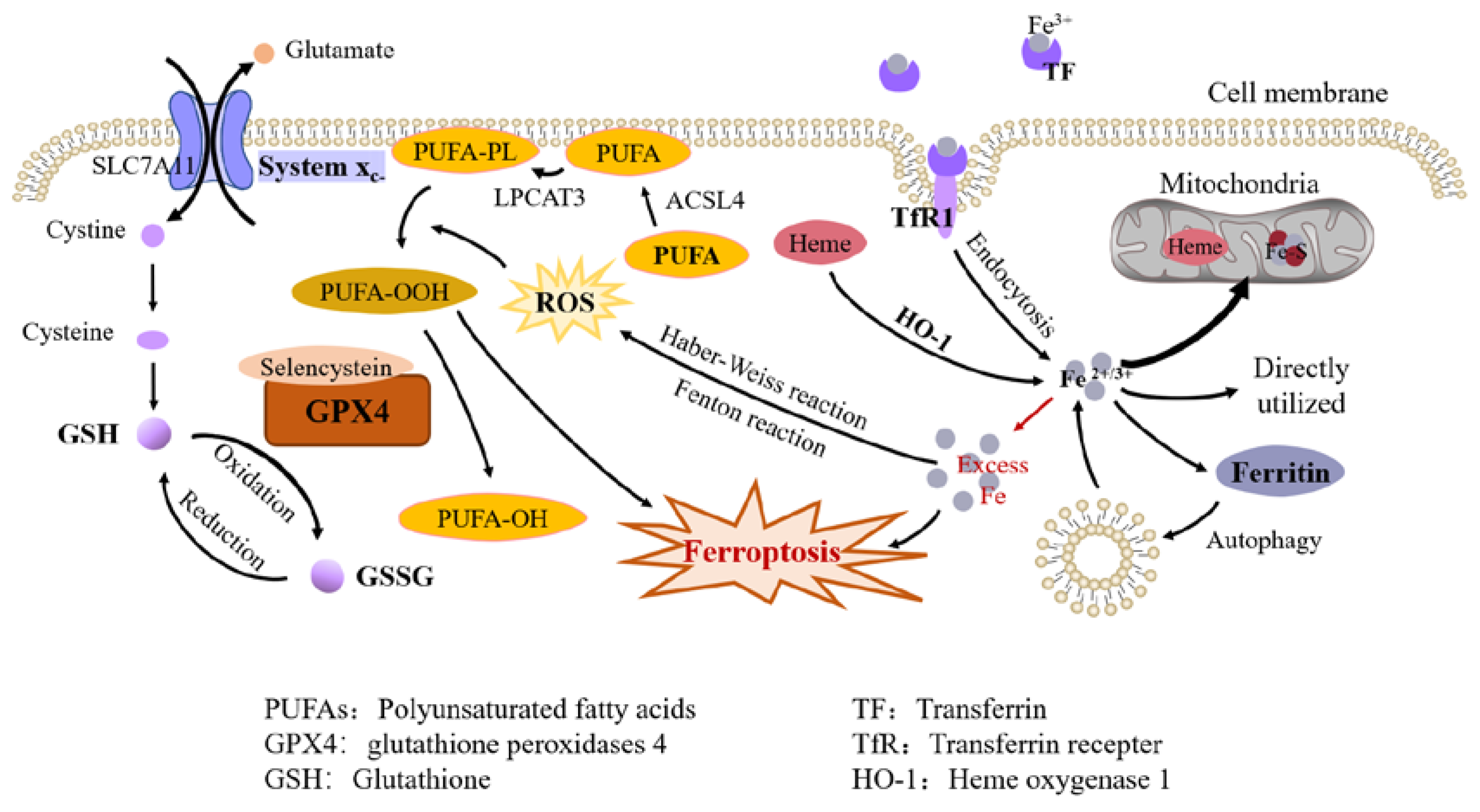 Preprints 75087 g001