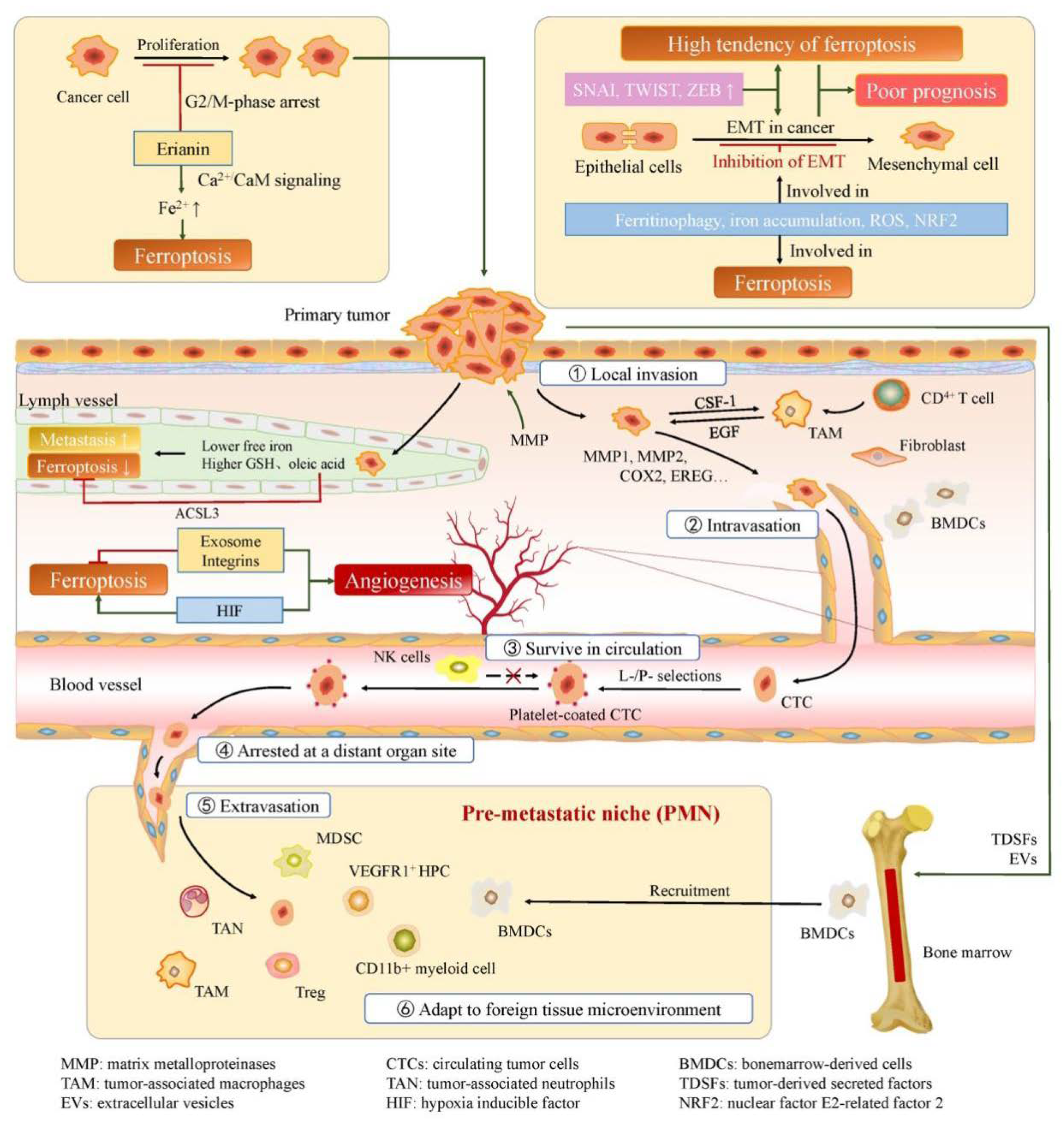 Preprints 75087 g002