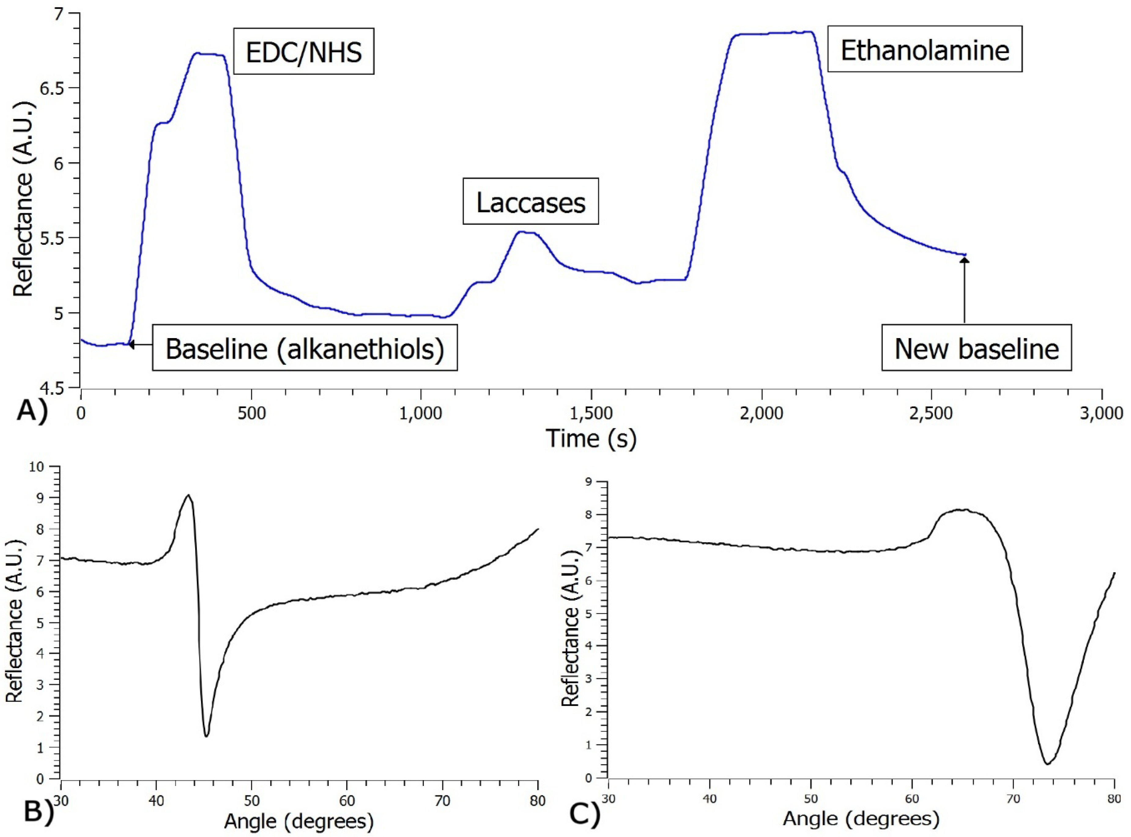 Preprints 162452 g002