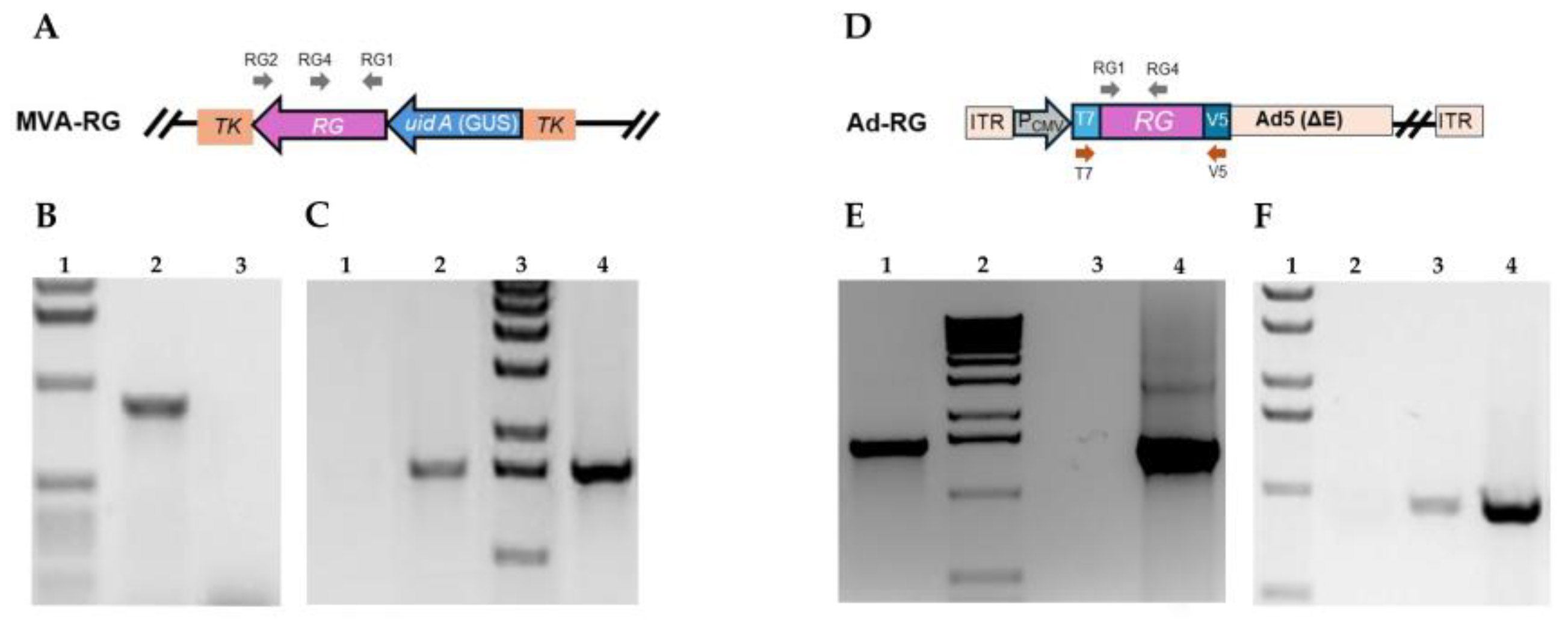 Preprints 144227 g001