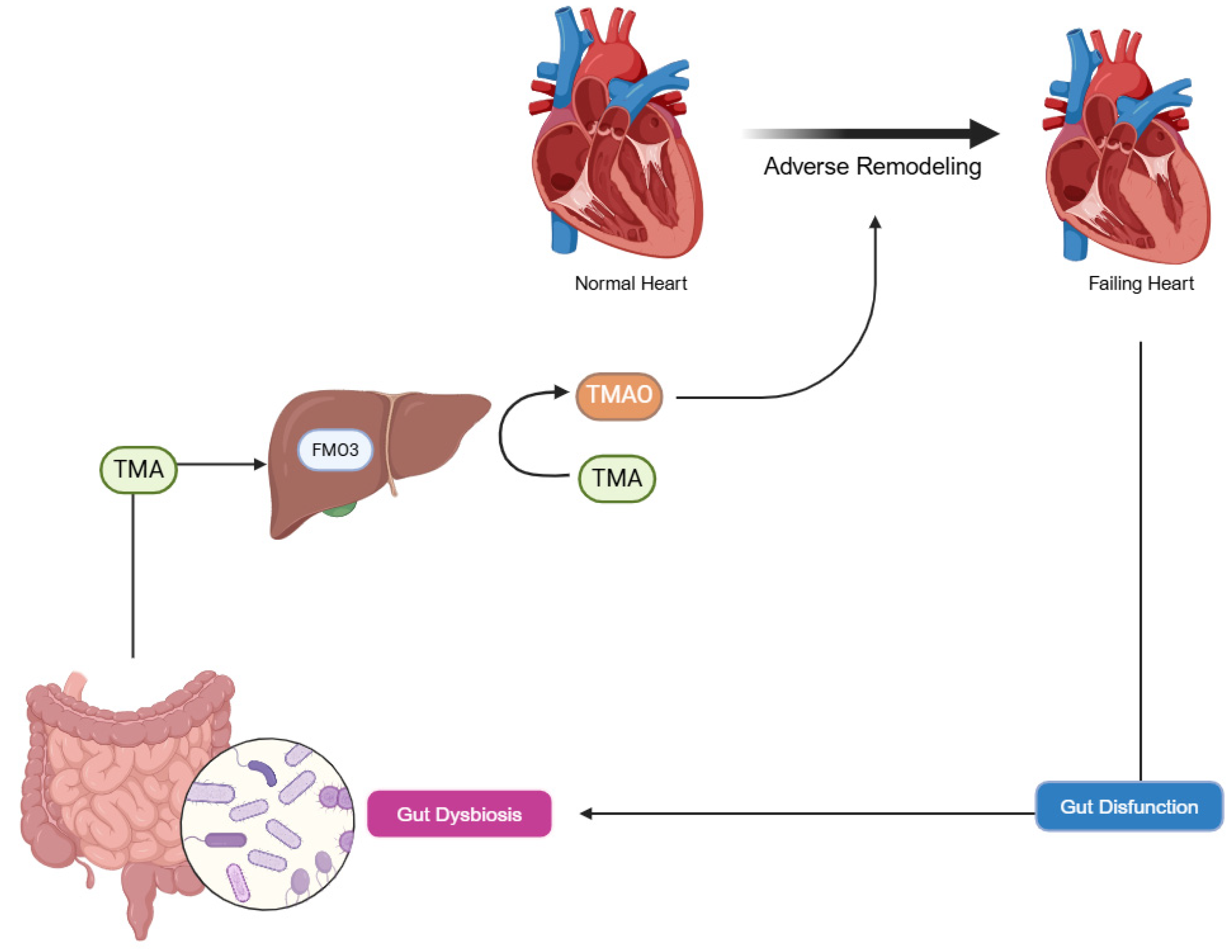 Preprints 151620 g002
