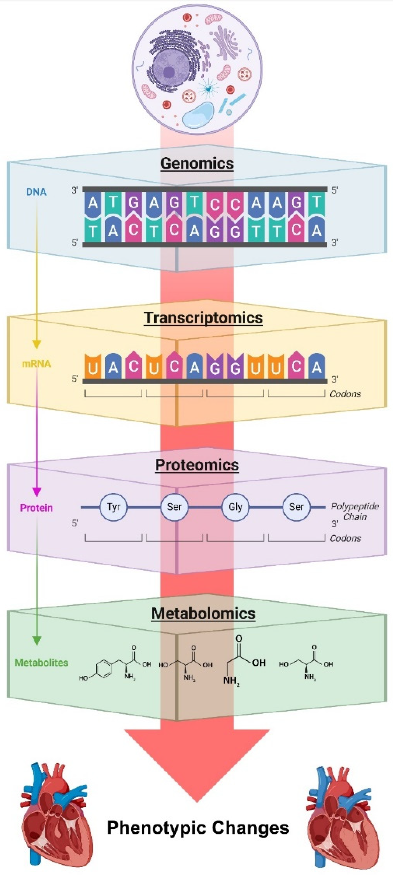Preprints 151620 g003