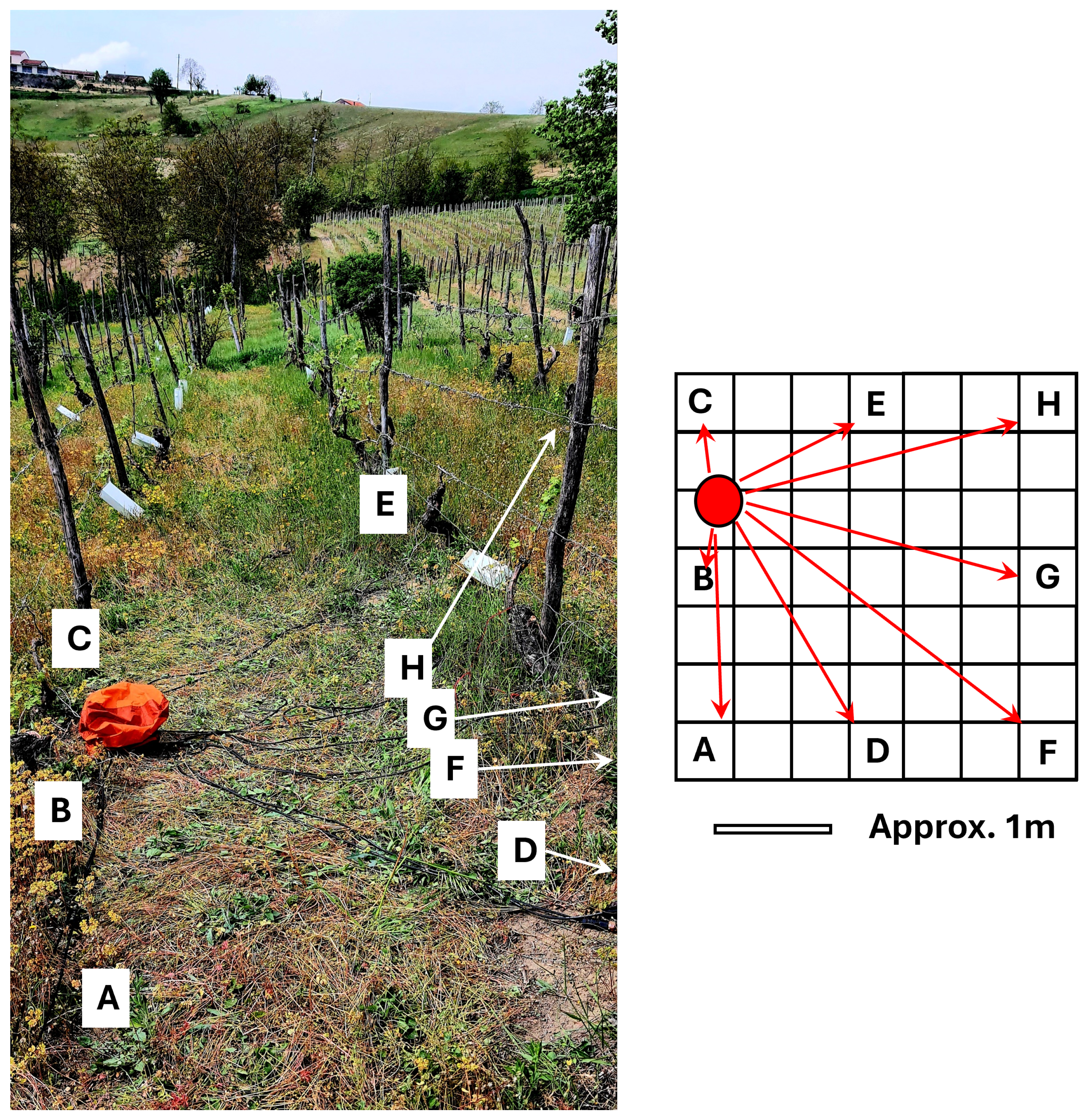 Preprints 159816 g001