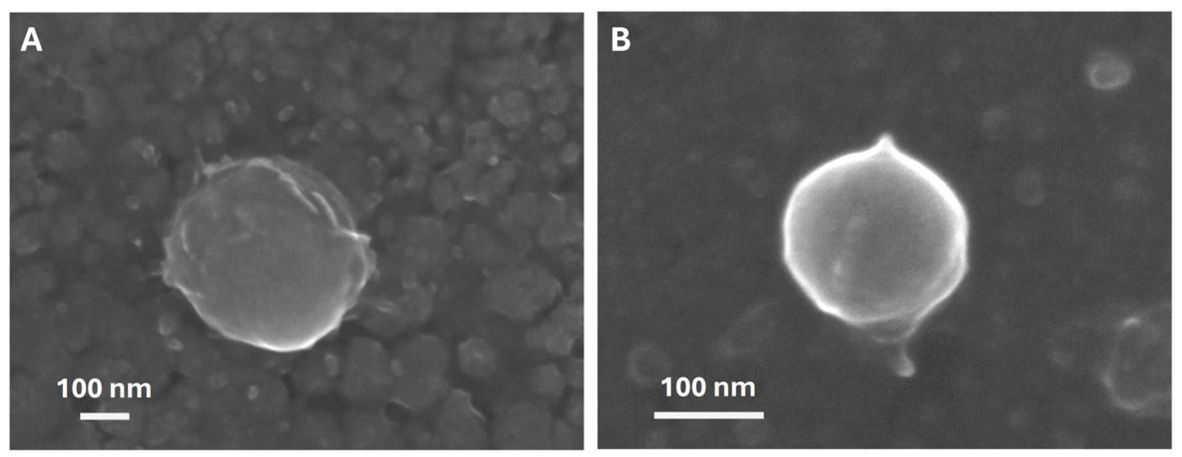 Preprints 188932 g003