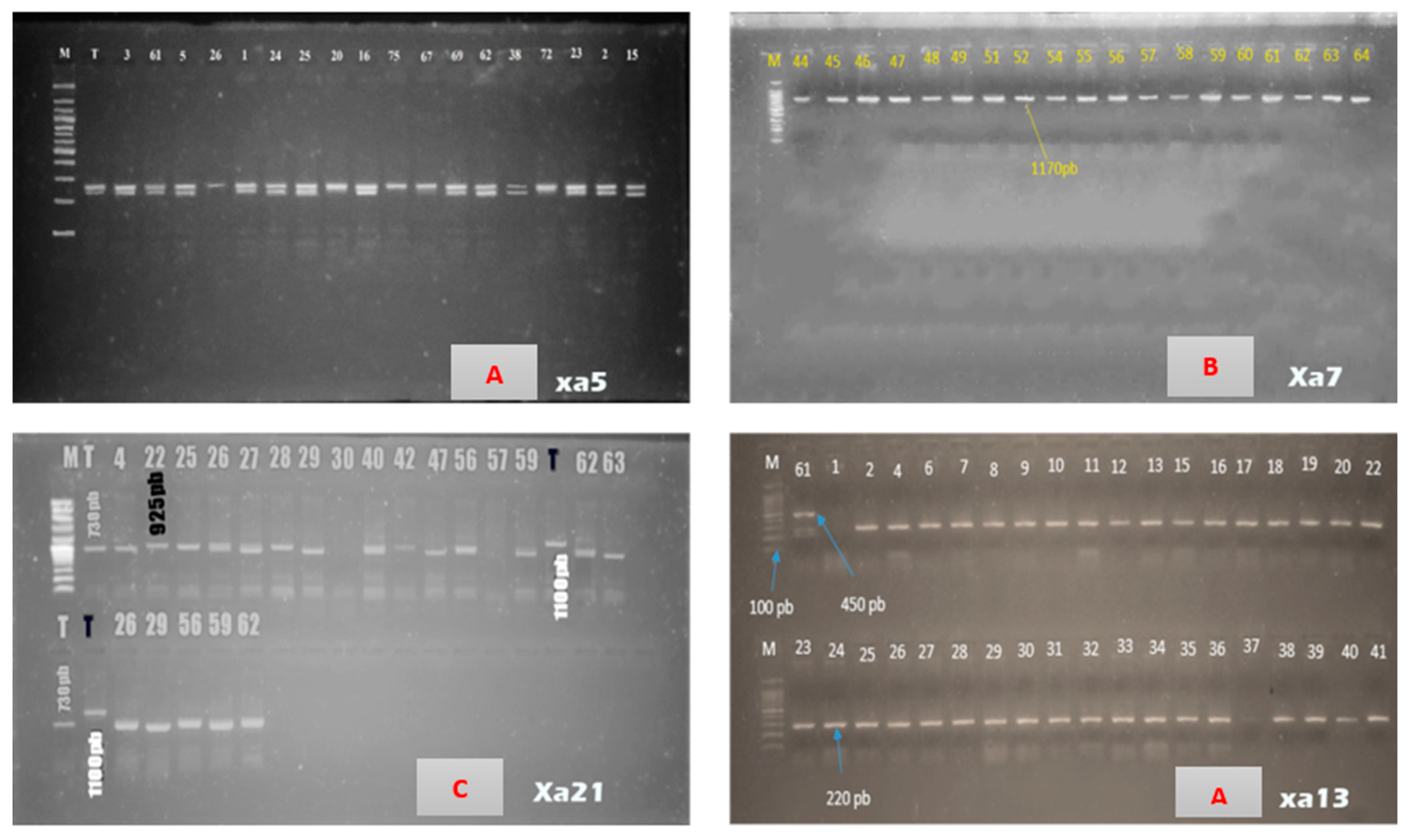 Preprints 85528 g003