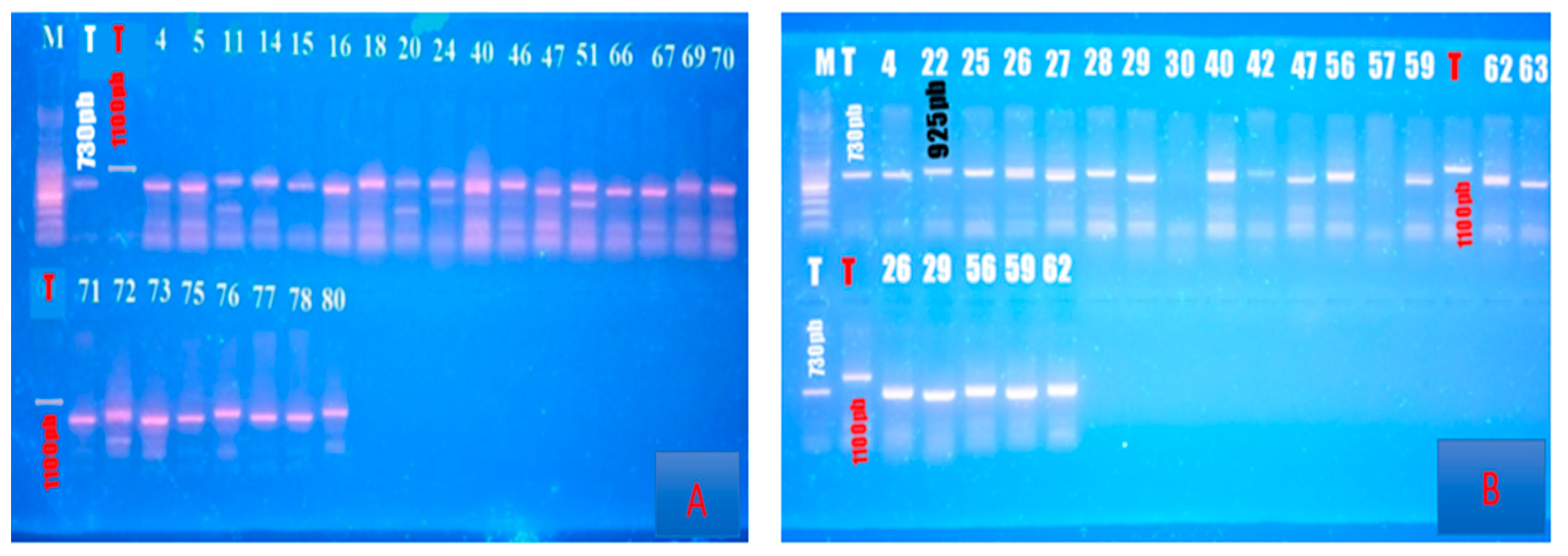 Preprints 85528 g004