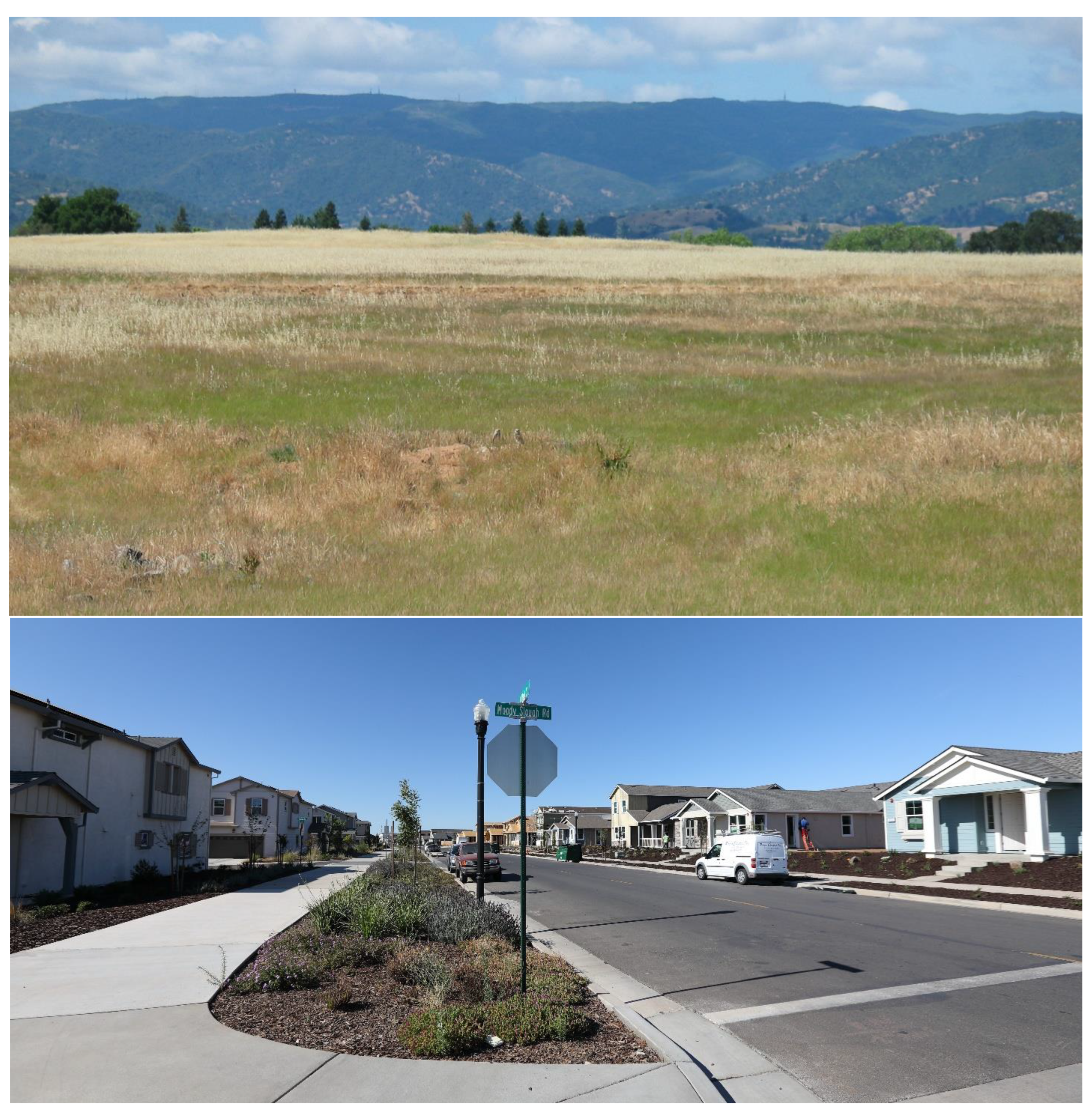 Preprints 80825 g004