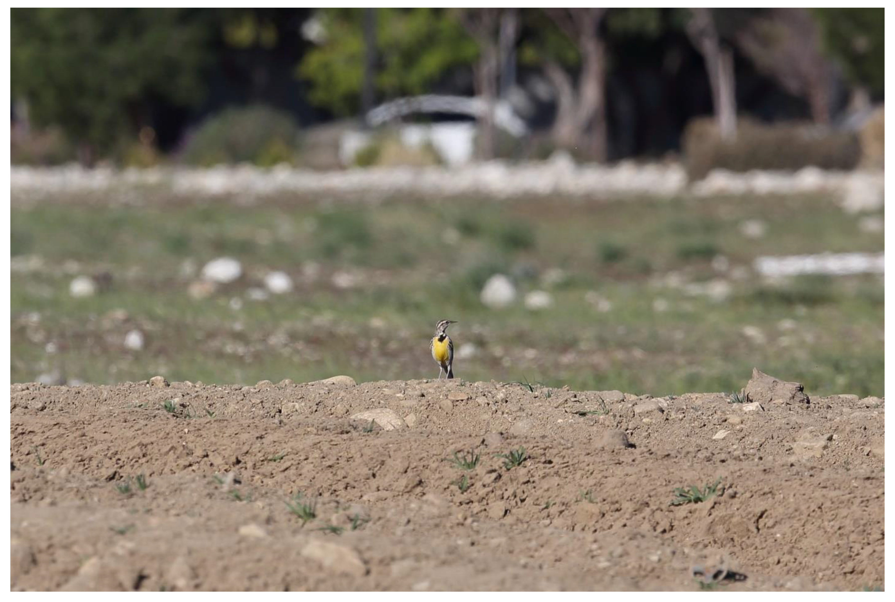 Preprints 80825 g005