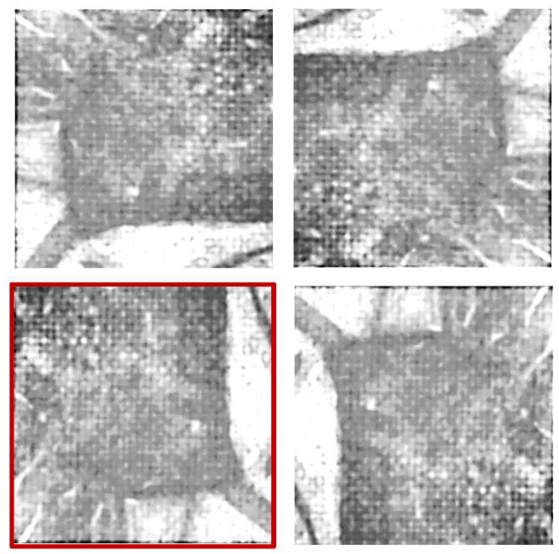 Preprints 199068 g001