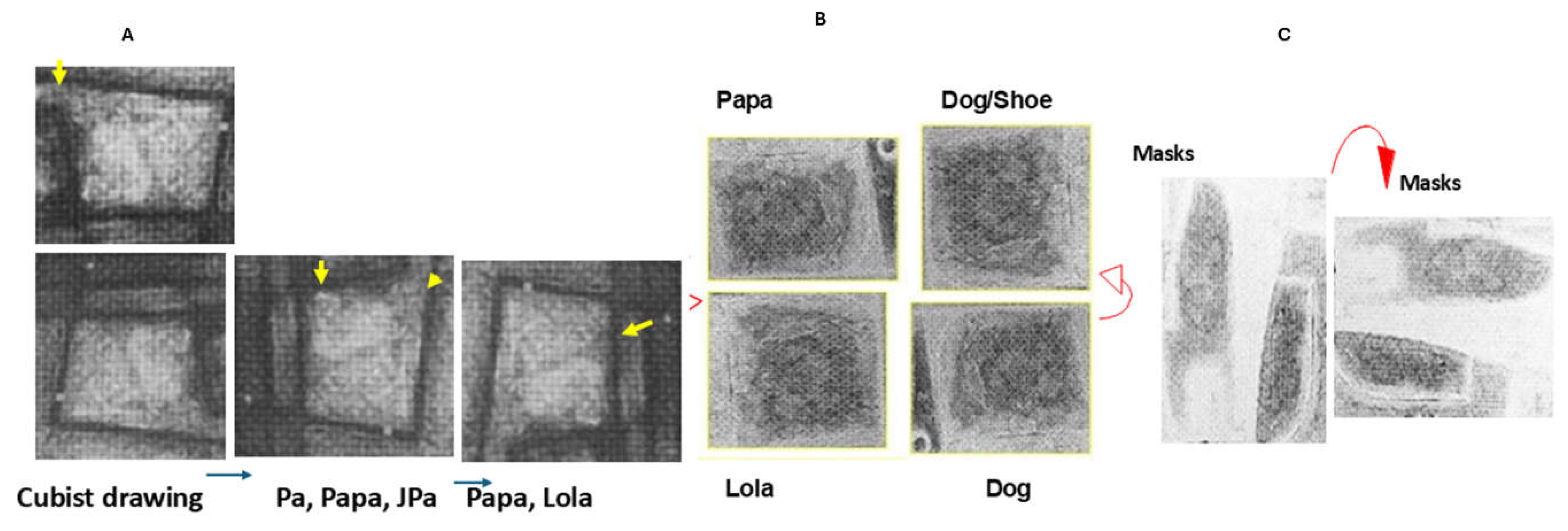 Preprints 199068 g002