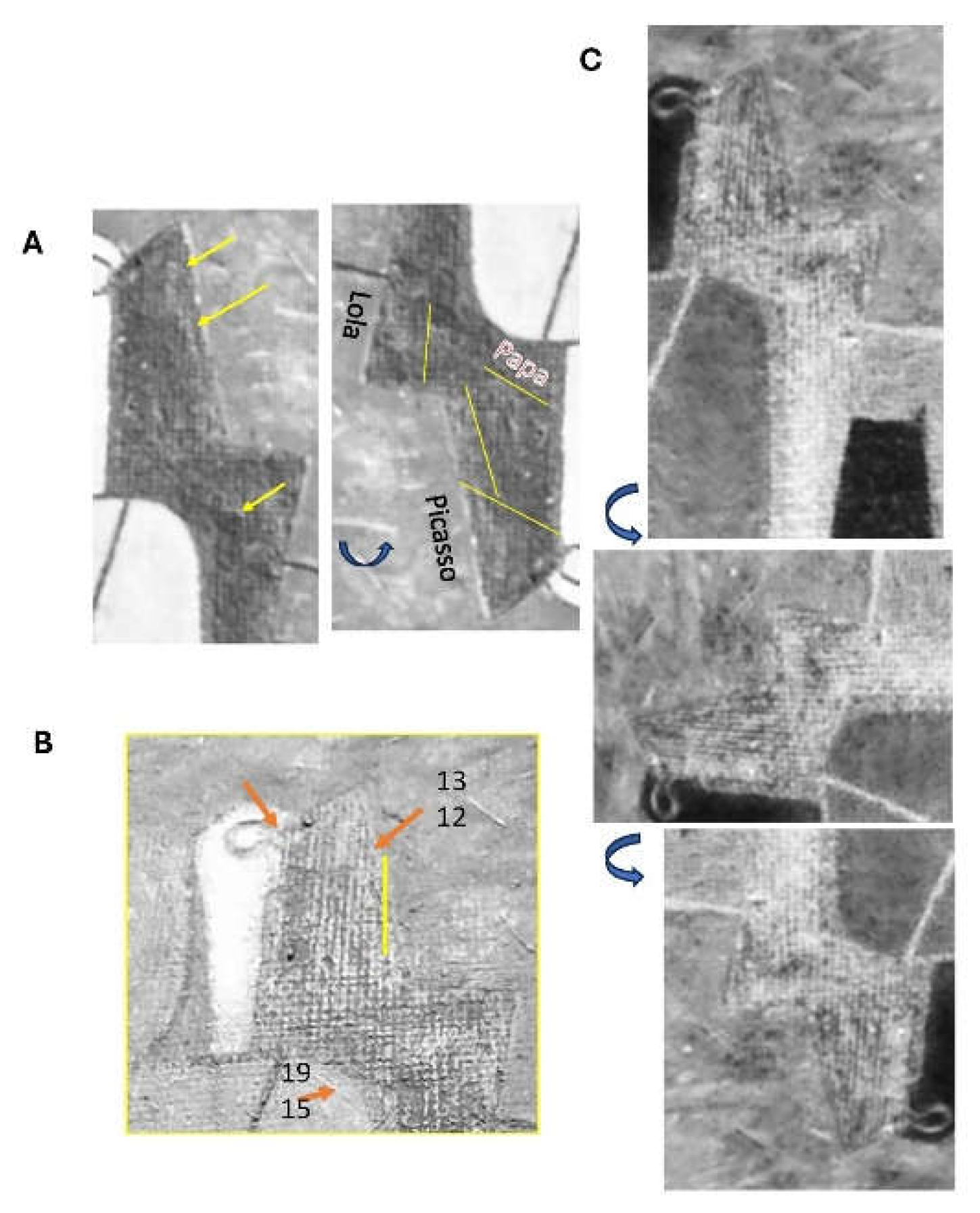 Preprints 199068 g009