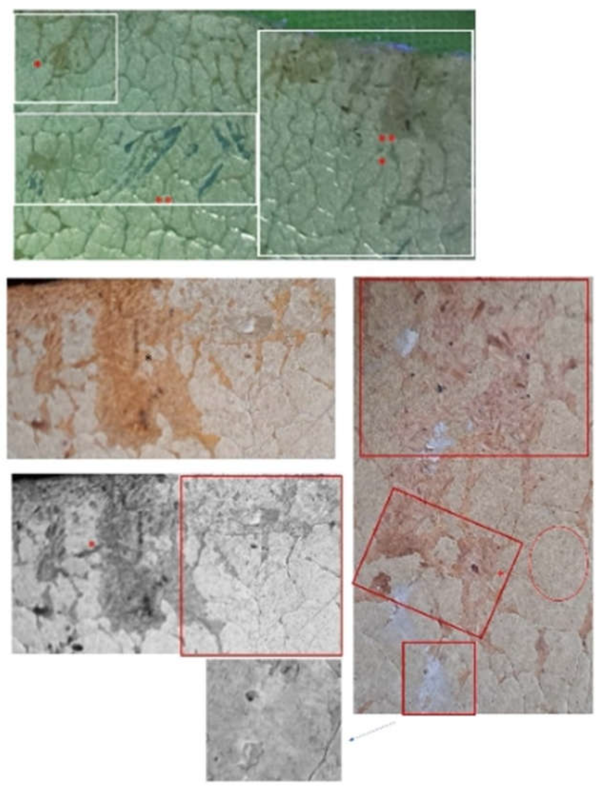 Preprints 199068 g010