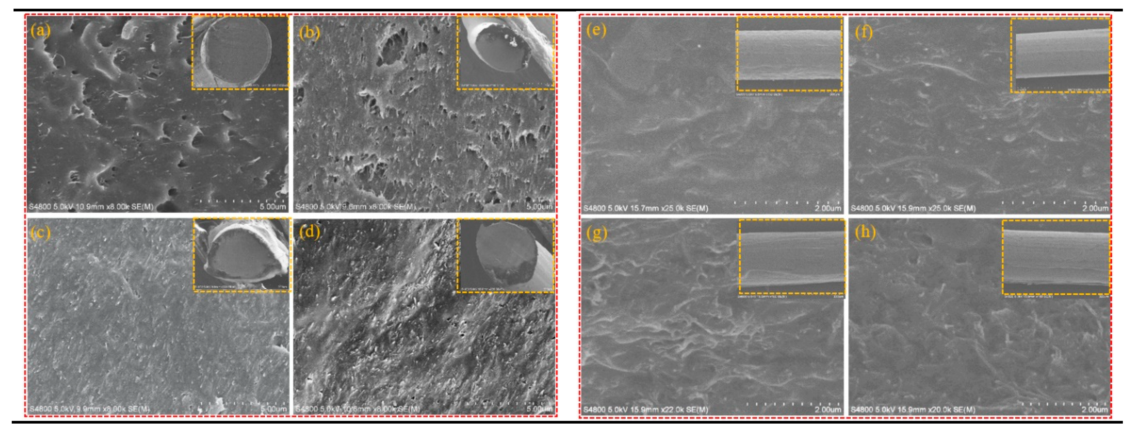 Preprints 78655 g003