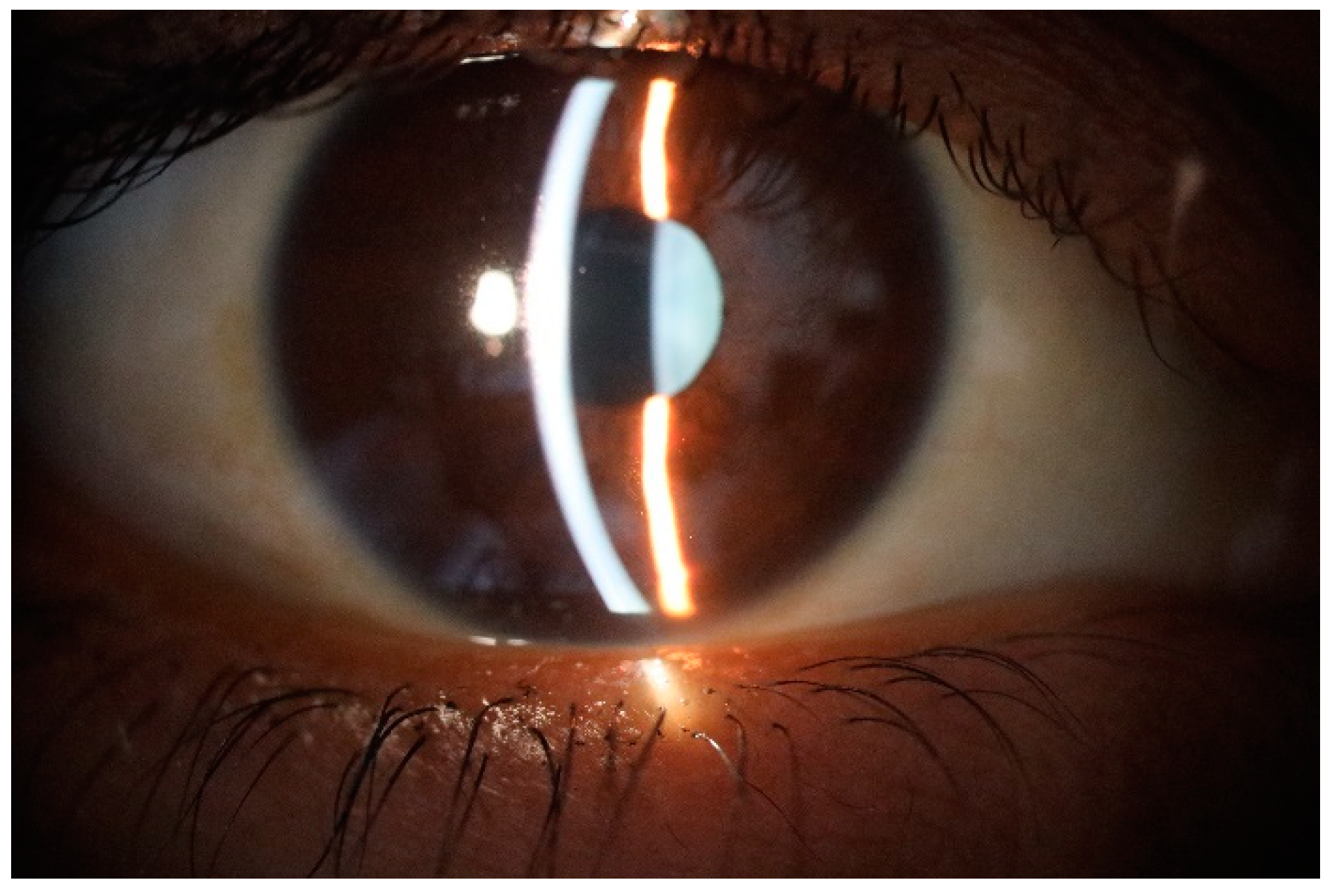 Preprints 69699 g001