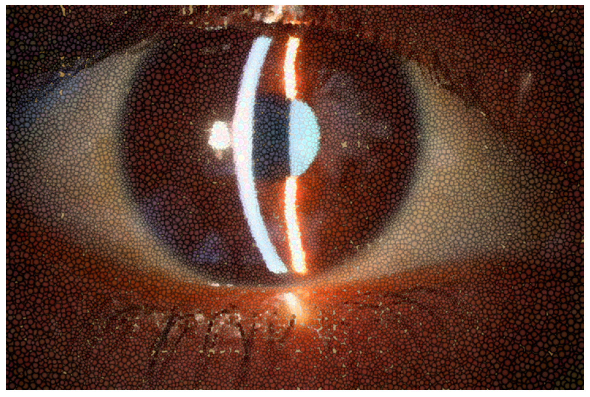 Preprints 69699 g002